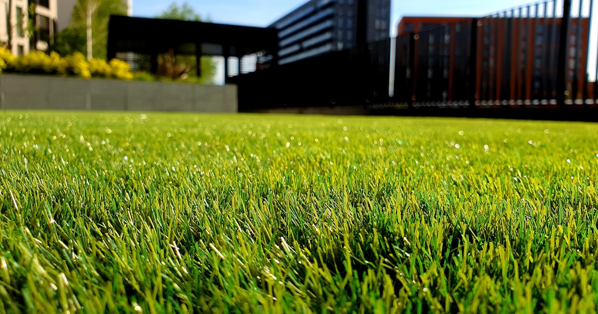 Best Mole and Gopher Repellents - webcomicsweekend