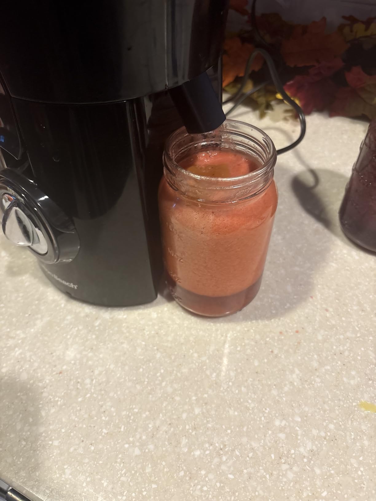 Hamilton Beach Juicer Machine, Big Mouth 3