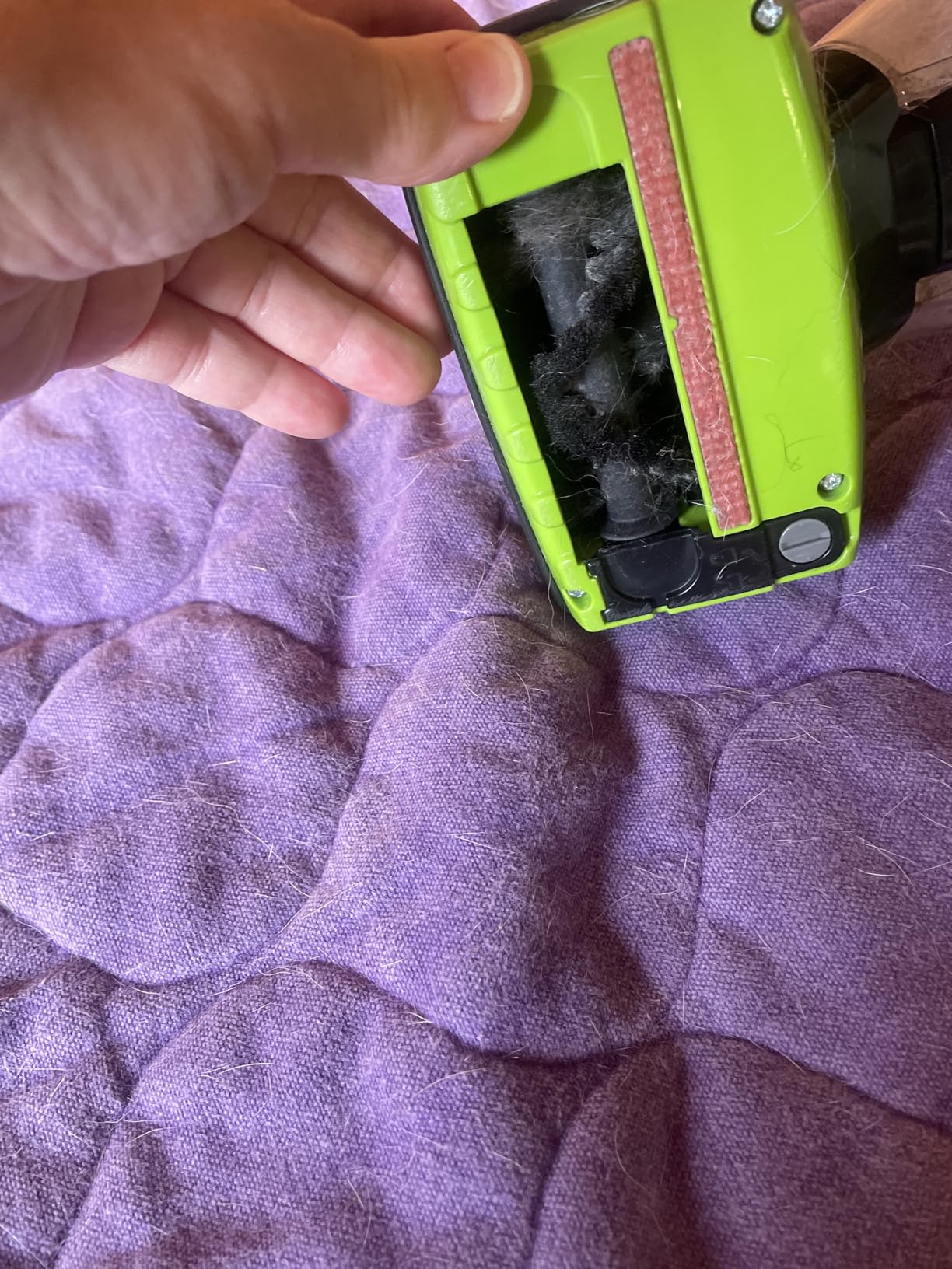 Bissell Pet Hair Eraser Cordless Hand Vacuum, Home, Auto, and Pet Vacuum, Crevice Tool, Upholstery Tool, and Motorized Brush Included, 1782 customer photo 1