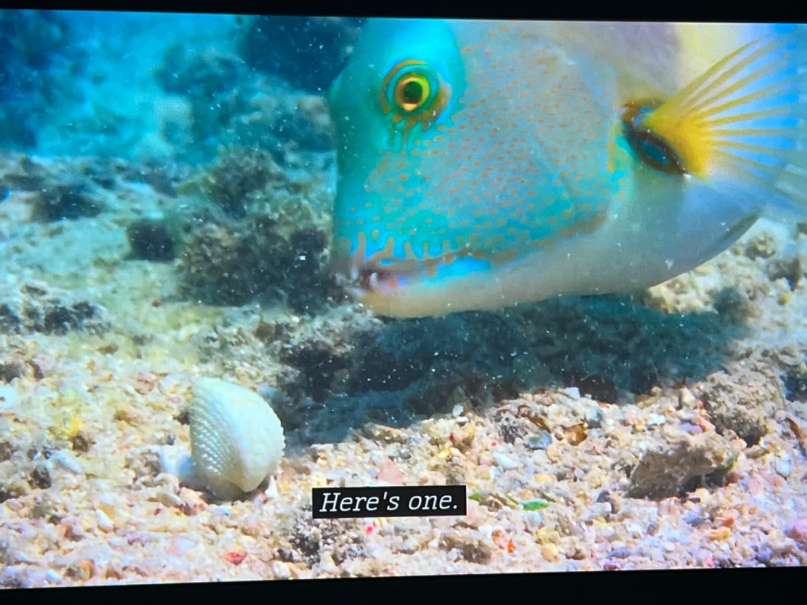 Epson Home Cinema 5050UB 4K PRO-UHD 3-Chip Projector with HDR, White customer photo 2