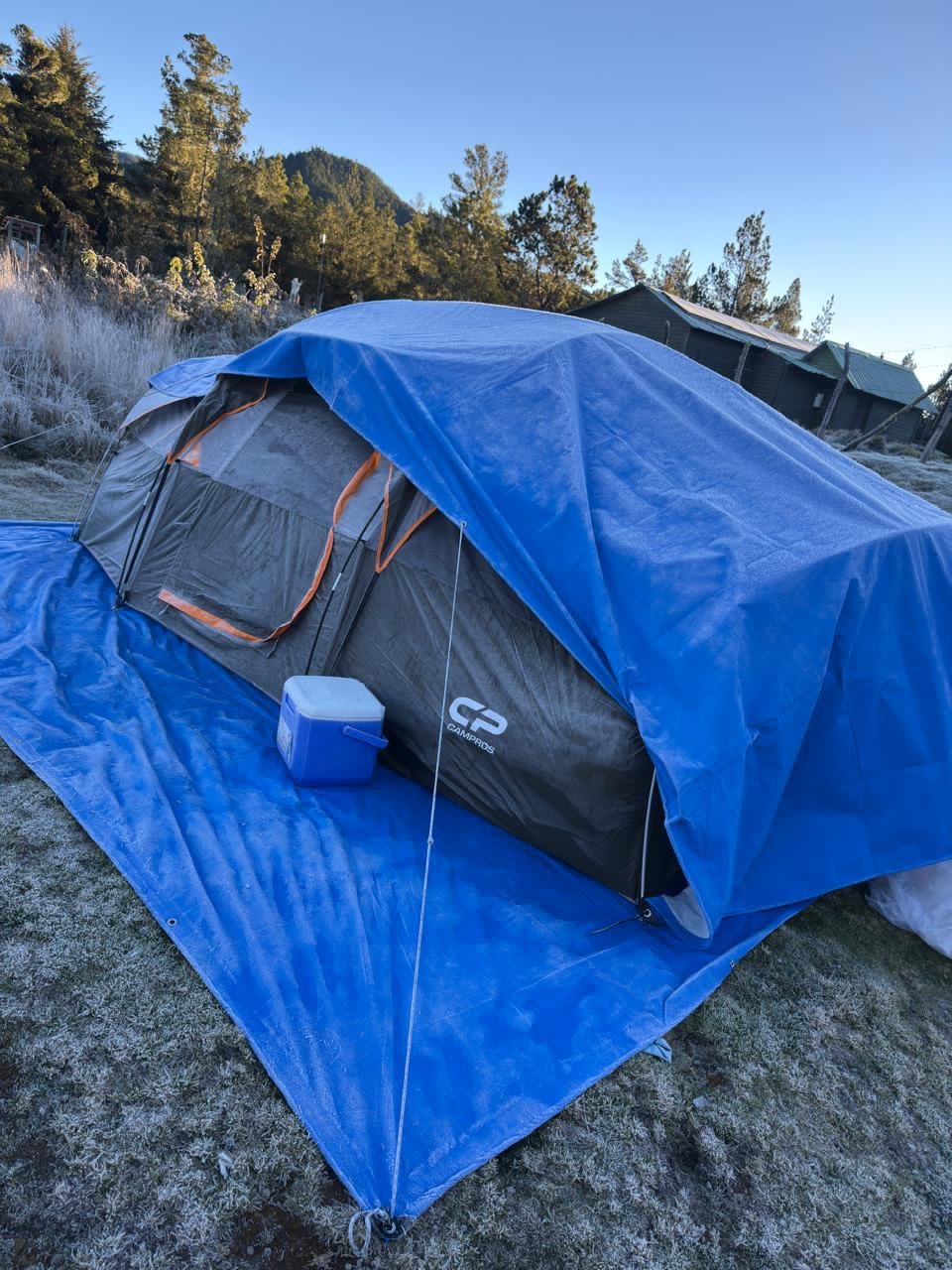 CAMPROS CP Tent 8 Person Camping Tents, Weather Resistant Family Tent, 5 Large Mesh Windows, Double Layer, Divided Curtain for Separated Room, Portable with Carry Bag customer photo 1