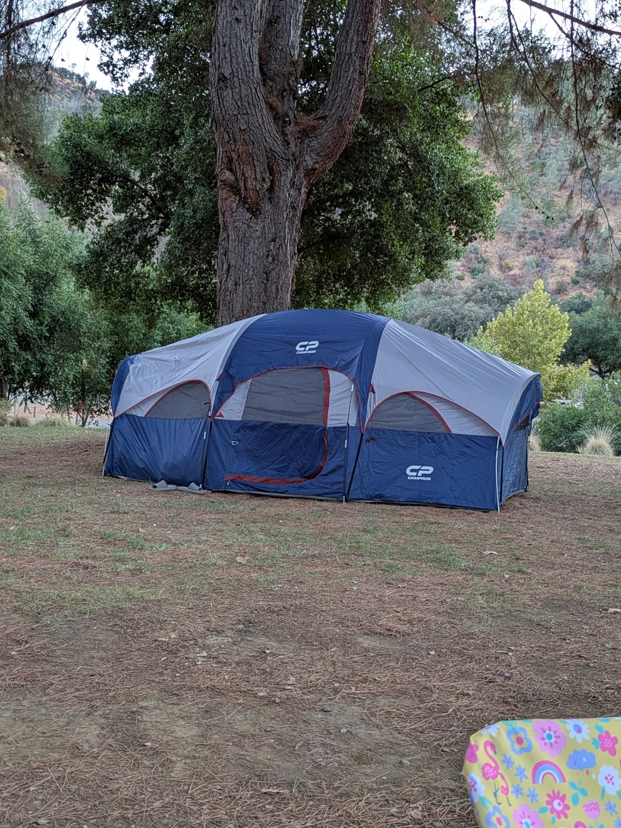 CAMPROS CP Tent 8 Person Camping Tents, Weather Resistant Family Tent, 5 Large Mesh Windows, Double Layer, Divided Curtain for Separated Room, Portable with Carry Bag customer photo 2