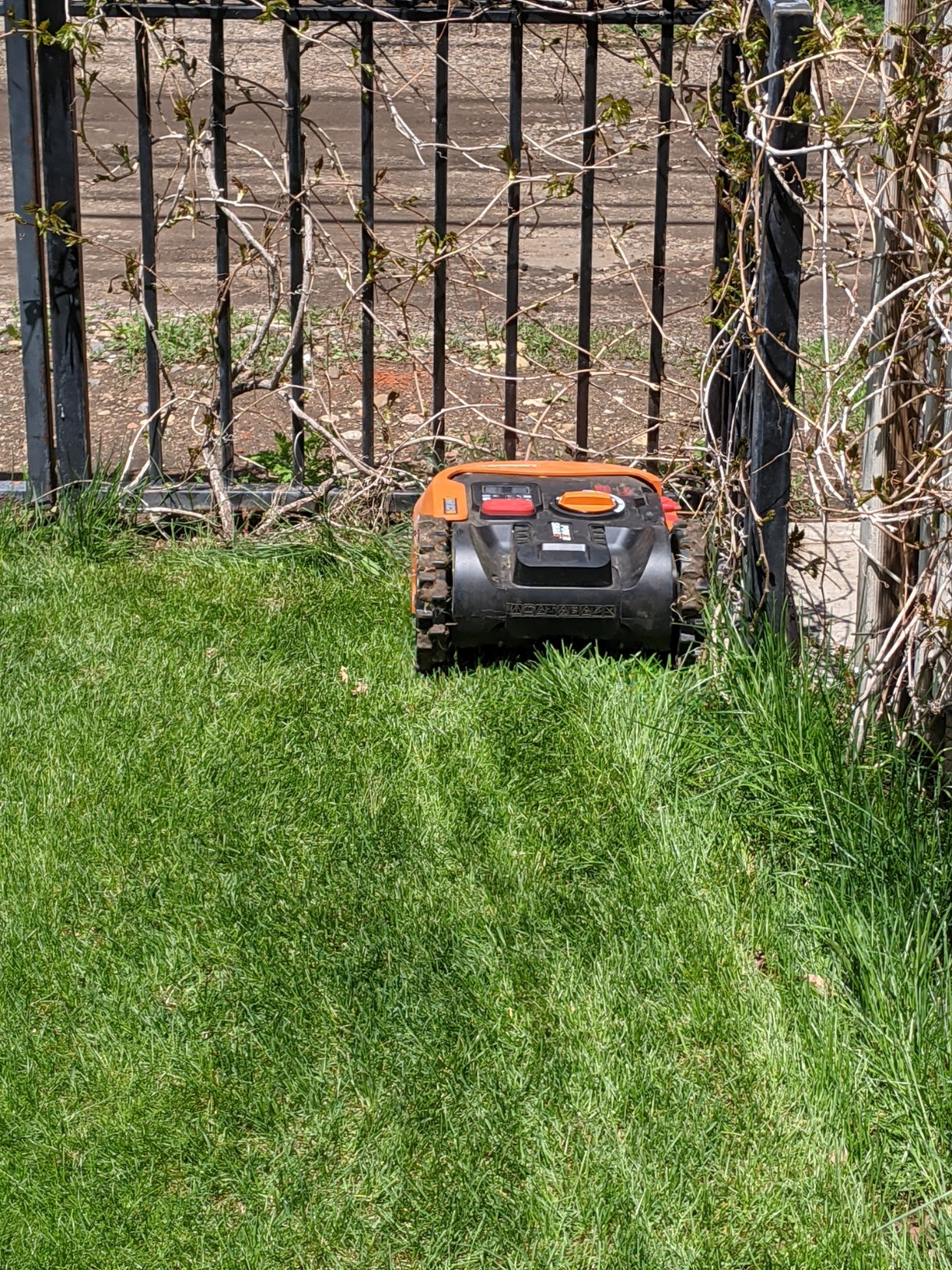 Worx Landroid S 20V 2.0Ah Robotic Lawn Mower 1/8 Acre / 5,445 Sq Ft. Power Share - WR165 (Battery & Charger Included) customer photo 2