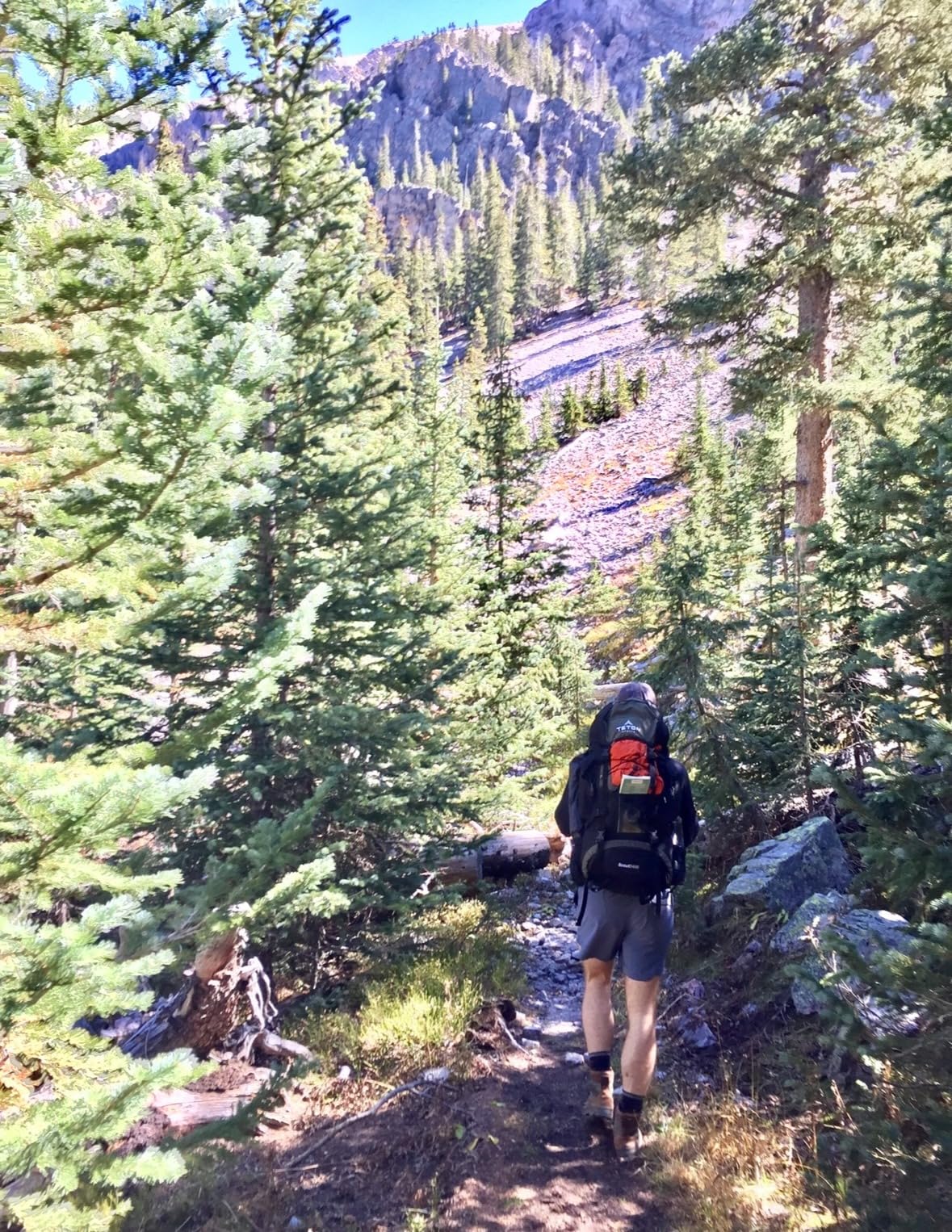 Teton 55L Scout Internal Frame Backpack for Hiking, Camping, Backpacking, Travel, Rain Cover Included customer photo 1