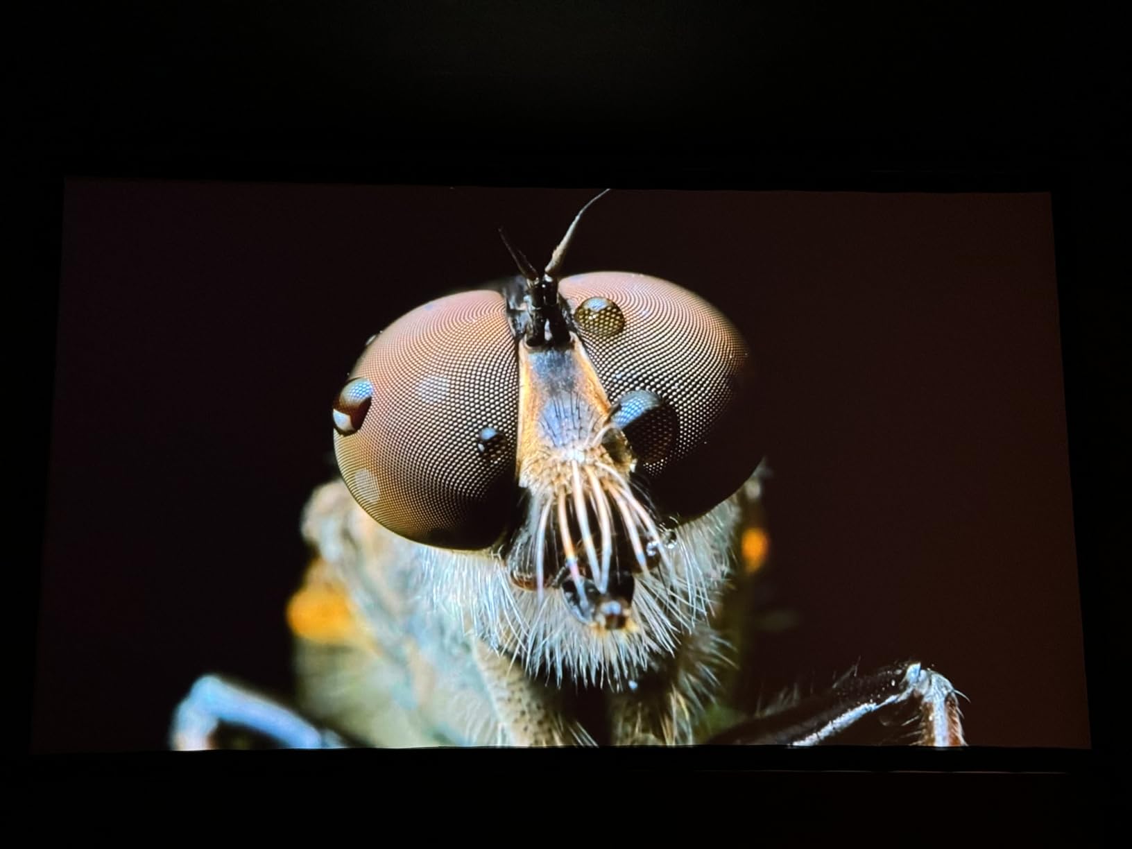 Epson Home Cinema LS11000 4K PRO-UHD Laser Projector HDR, HDR10+, 2500 Lumens Color & White Brightness, HDMI 2.1, Motorized Lens, Focus, Zoom, 3840 x 2160, 120 Hz, Media Room, Gaming customer photo 2