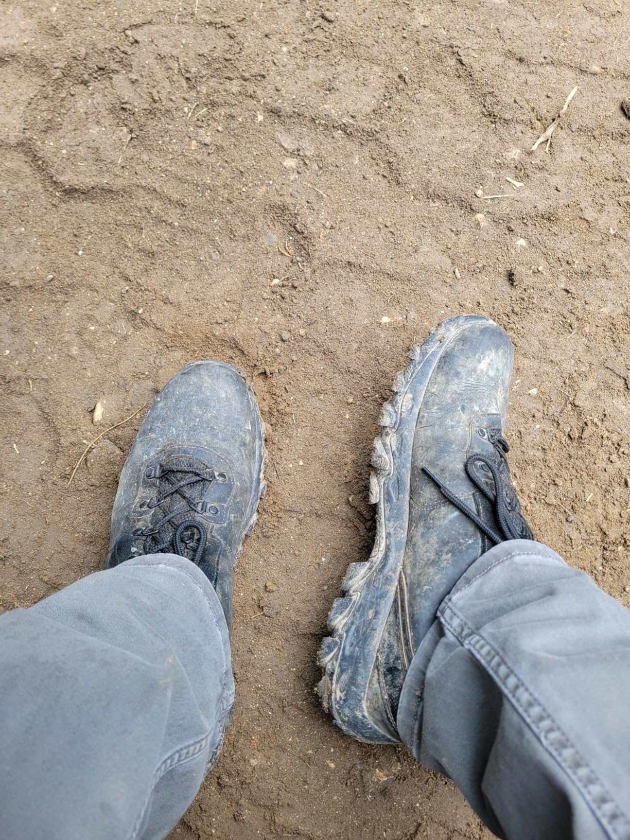 Columbia Newton Ridge Plus II Suede Waterproof | Hiking Boots customer photo 2