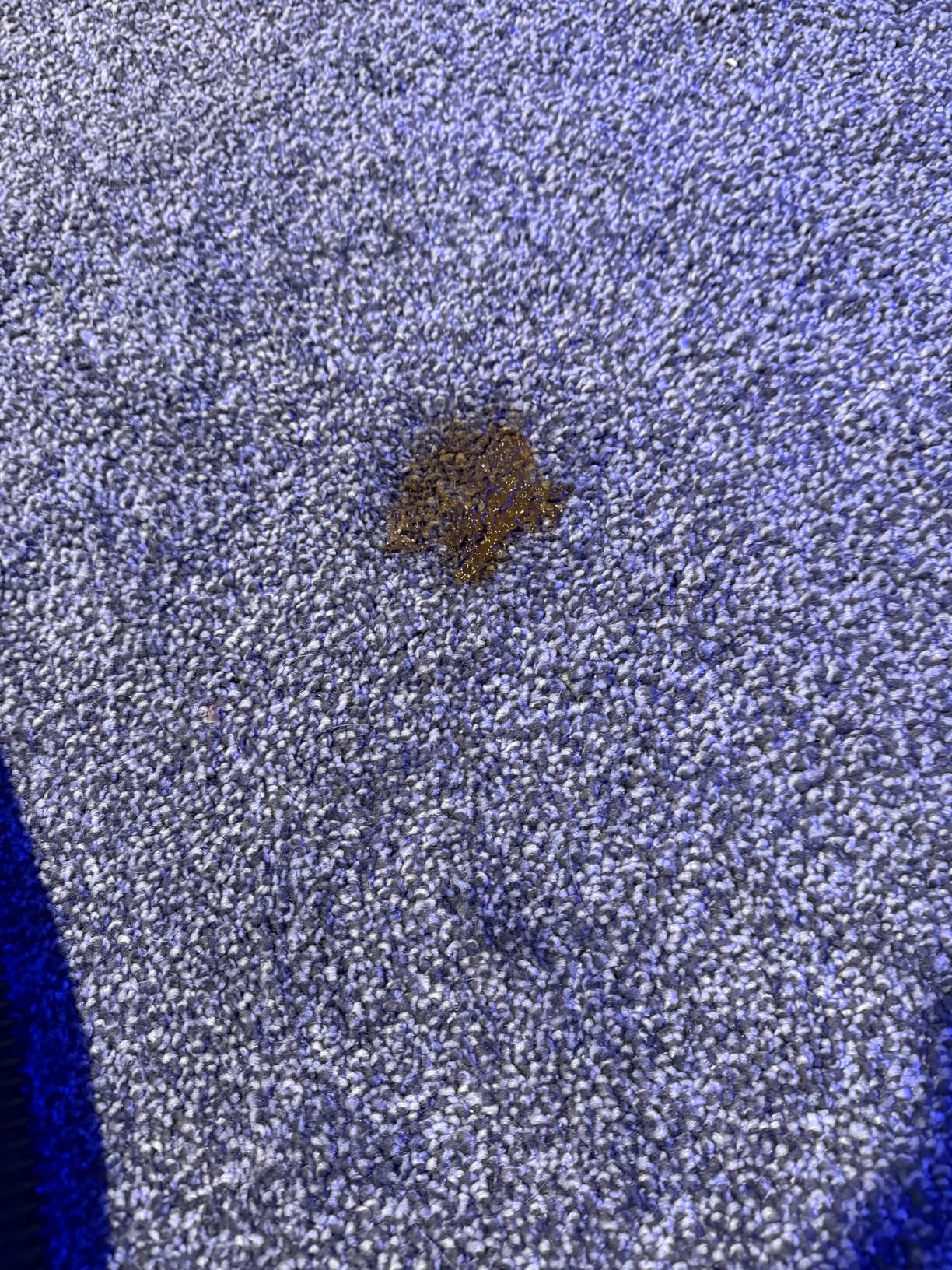 BISSELL Little Green Max Pet Portable Carpet and Upholstery Deep Cleaner, Car/Auto Detailer, with Self-Cleaning Tough Stain Tool and Pet Hair Removal Tool, 3860 customer photo 2