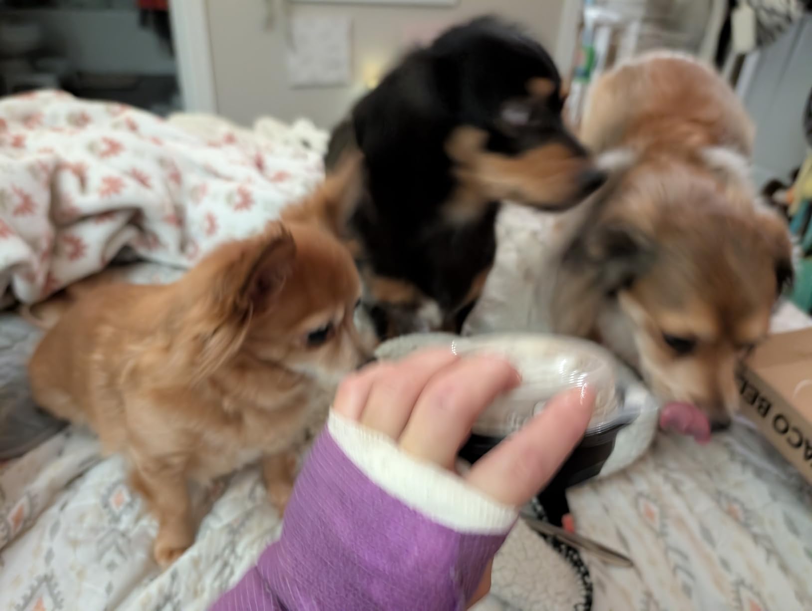 Astercook Knife Set, 13 Pieces Kitchen Knives Set with Healthy Anti-Rust Coating, Dishwasher Safe customer photo 2