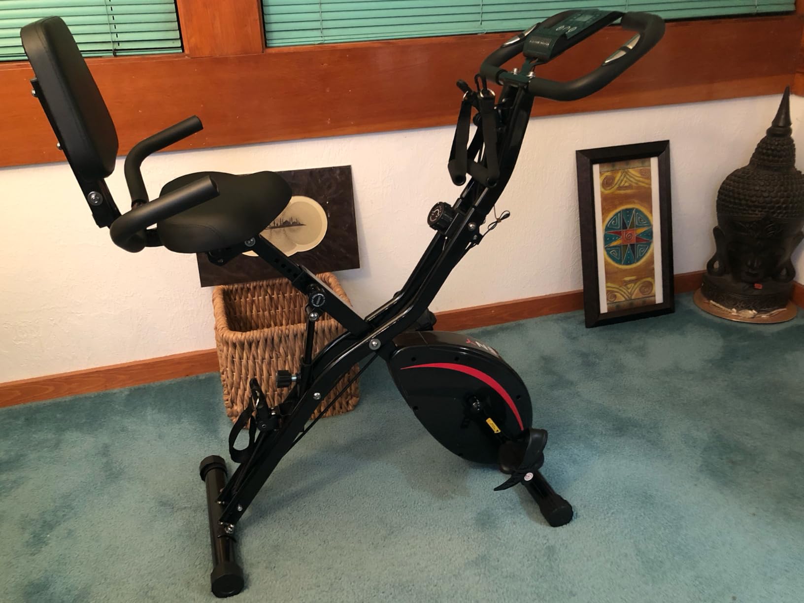 Pleny Folding Exercise Bike, 5 IN 1 Stationary Bikes for Home 6.6 LBS Flywheel, 330LB Weight Capacity Back Support Cushion Indoor Workout Cycling Bike for Home Gym customer photo 1