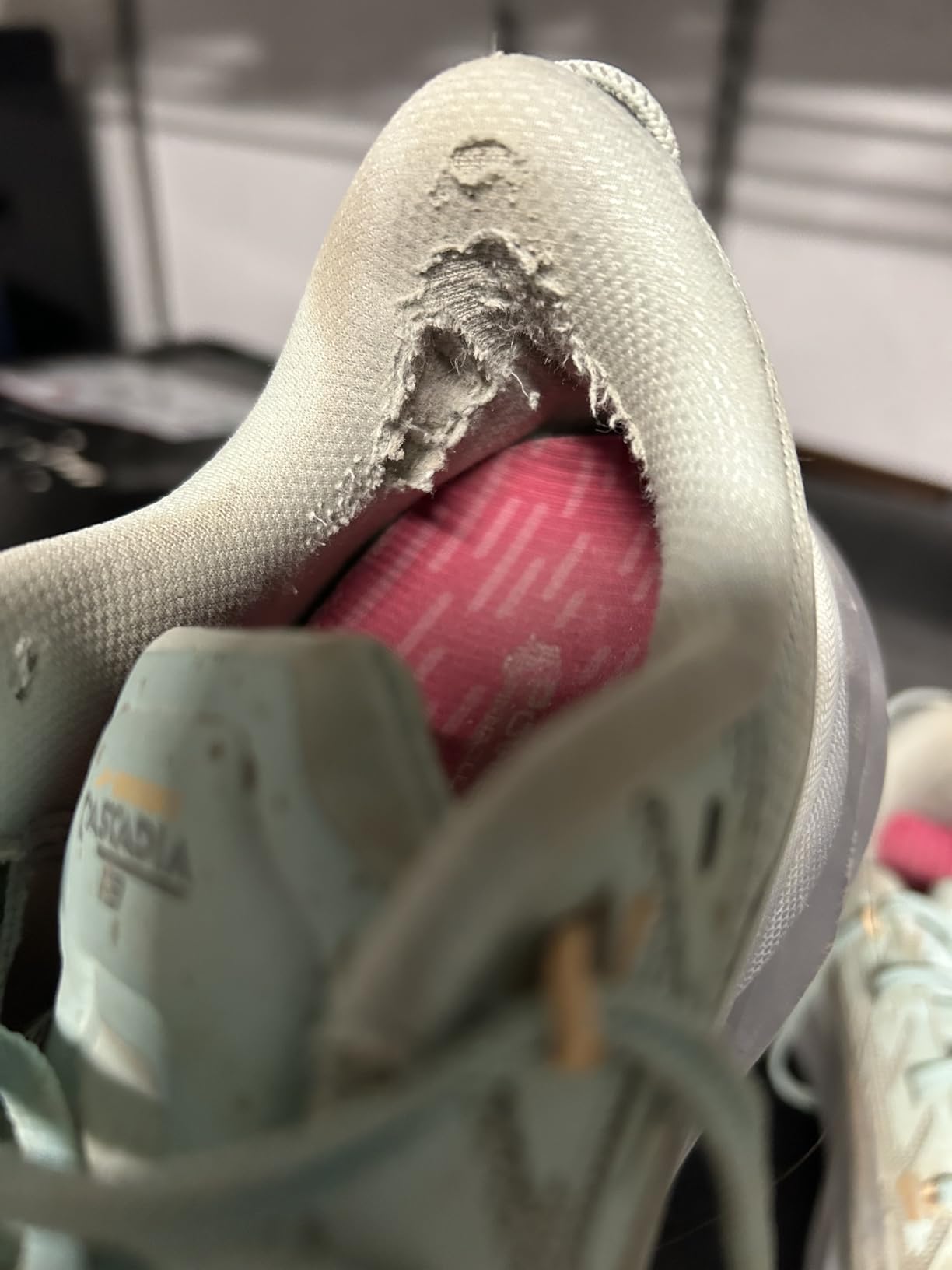 Women's Cascadia 19 Mountain Trail Running Shoe customer photo 1