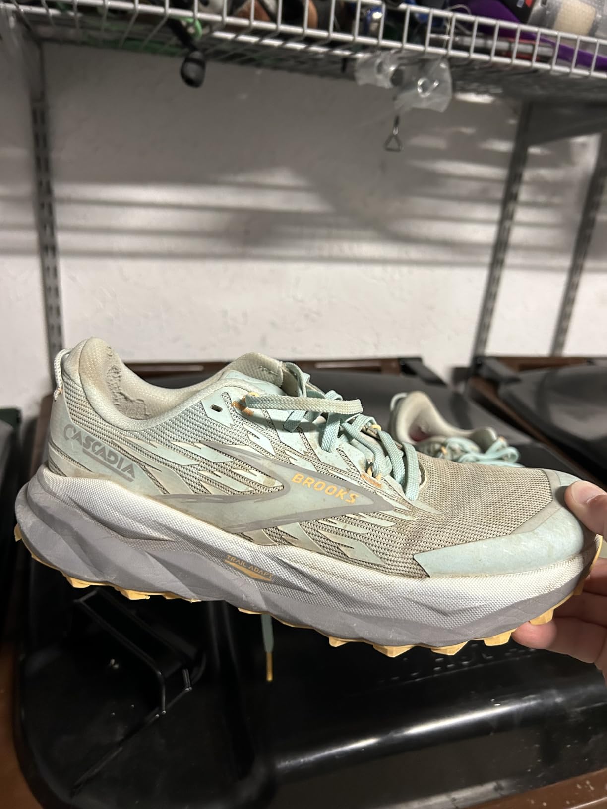 Women's Cascadia 19 Mountain Trail Running Shoe customer photo 2