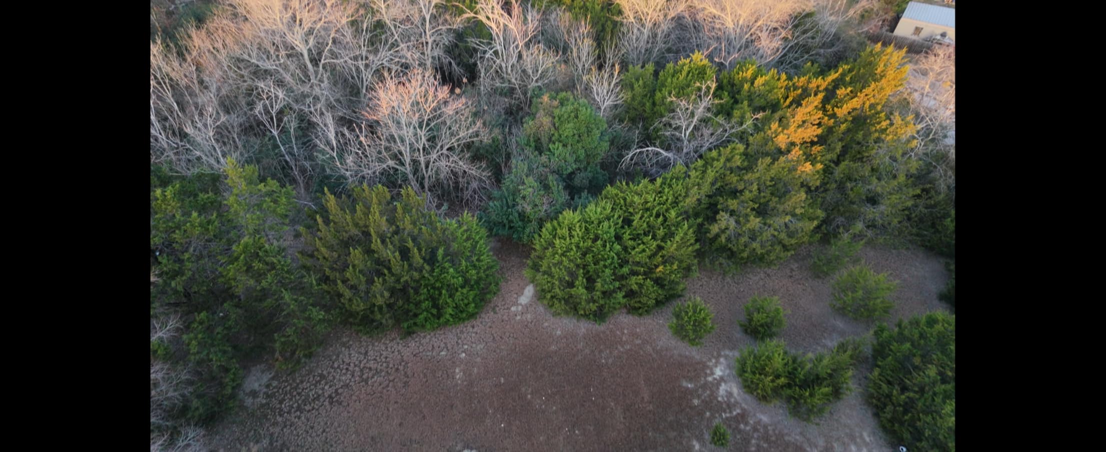 DJI Neo 2 (Drone Only), Lightweight & Foldable 4K Drone With Camera, Palm Takeoff & Landing, Gesture Control, ActiveTrack, Omnidirectional Obstacle Sensing customer photo 2