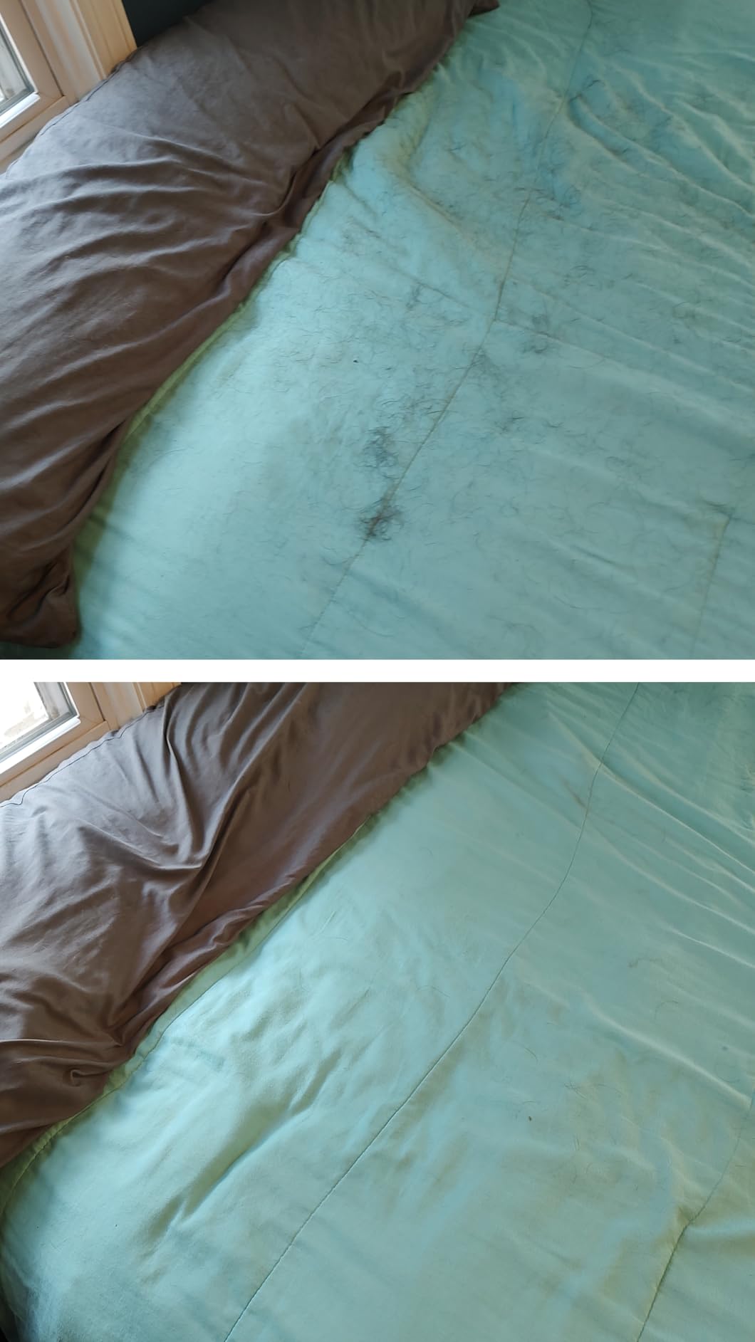 BLACK+DECKER dustbuster Reveal Pet Hair Vacuum, Hand Held Vacuum Cordless Portable for Home and Car, Rechargeable, LED Light, Powerful Suction, Includes Pet Brush and Crevice Tool, HLVD320BP07 customer photo 1