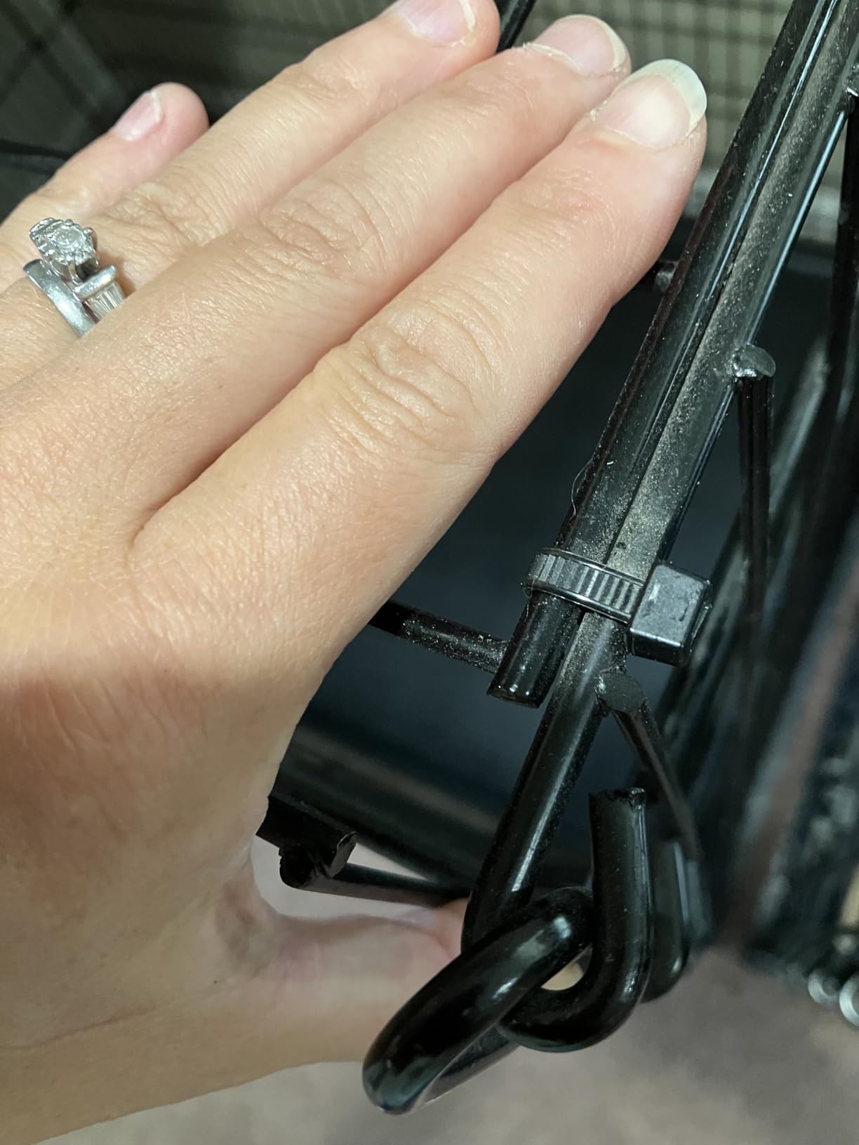 MidWest Homes for Pets 36-Inch iCrate for Medium-Large Breeds, 41-70 lbs, Double Door Folding Dog Crate with Divider Panel customer photo 1