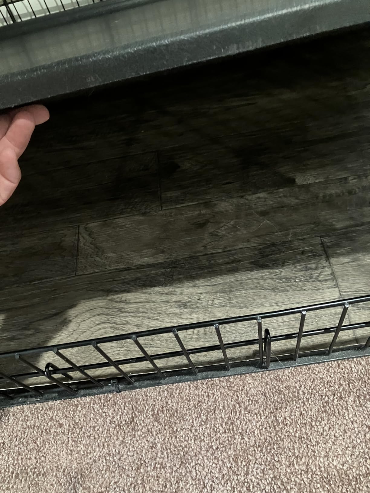 MidWest Homes for Pets 36-Inch iCrate for Medium-Large Breeds, 41-70 lbs, Double Door Folding Dog Crate with Divider Panel customer photo 2