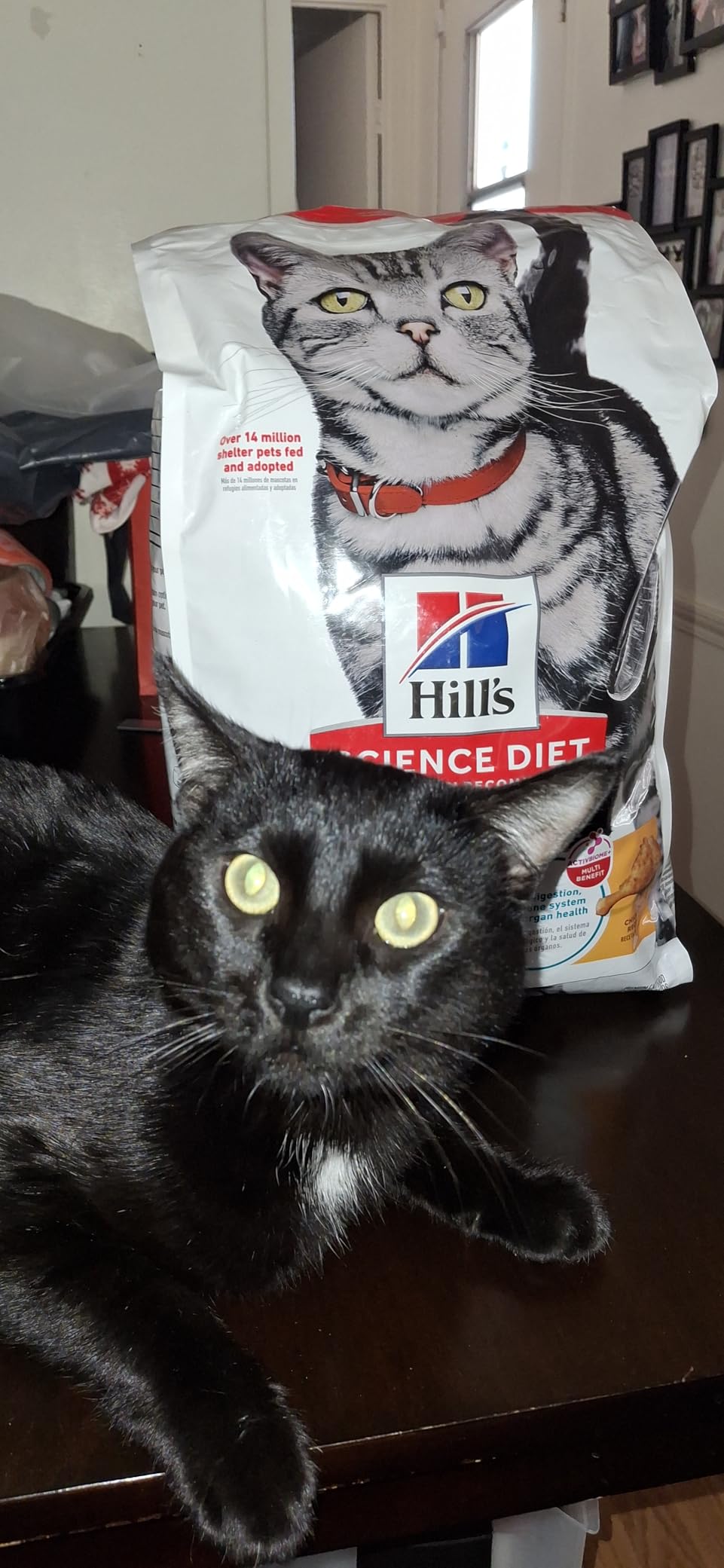 Hill's Science Diet Indoor, Adult 1-6, Easy Litter Box Cleanup, Dry Cat Food, Chicken Recipe, 7 lb Bag customer photo 1