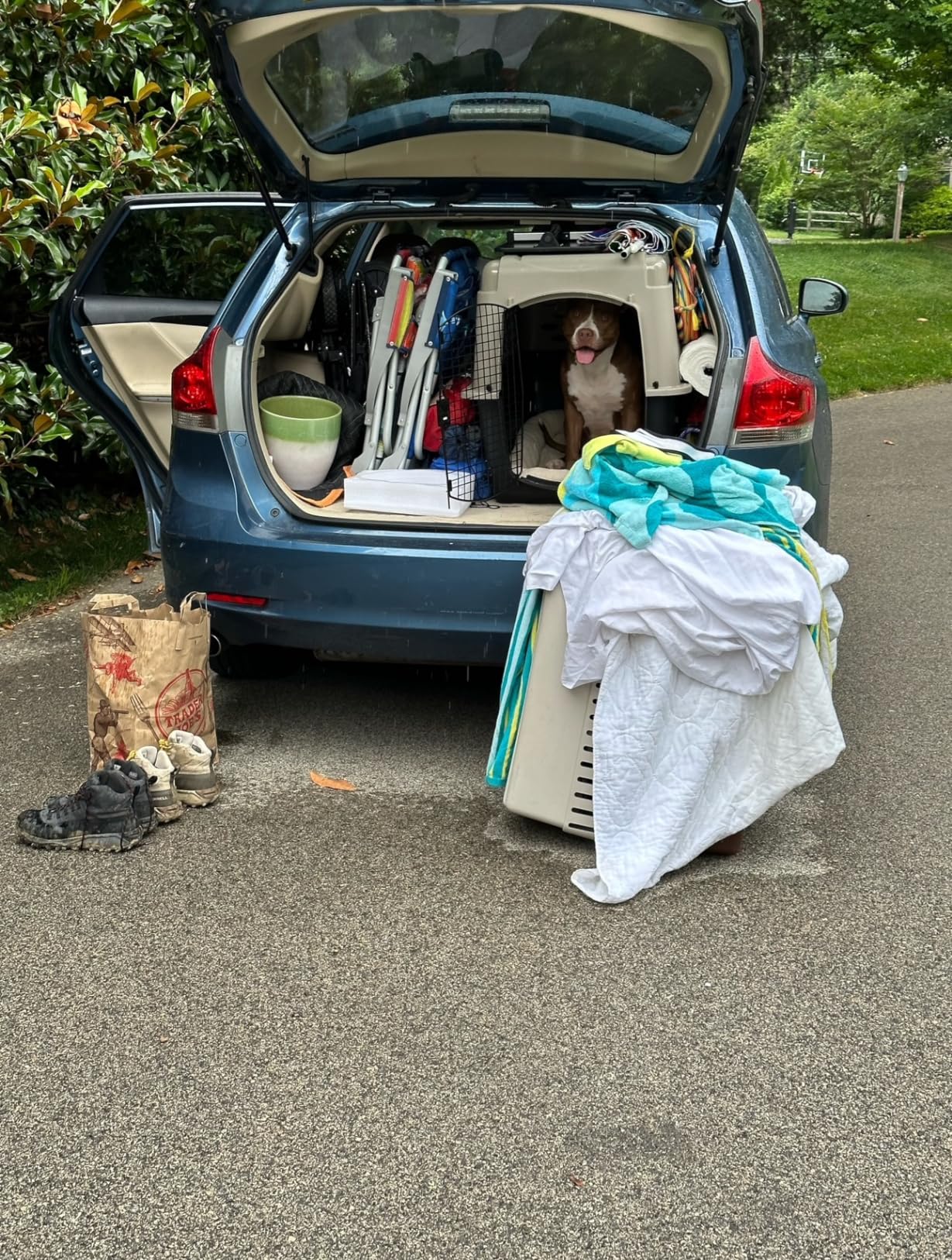 Petmate Vari Dog Kennel - Portable Dog Carriers & Crates for Medium Dogs, Airline-Friendly, Durable Plastic, 32 Inches customer photo 1