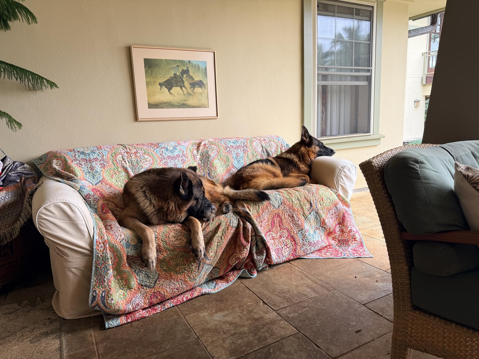 Wellness CORE Dry Dog Food, Large Breed, Grain-Free, High Protein, Natural, Original Chicken & Turkey Recipe, (26-Pound Bag) customer photo 1