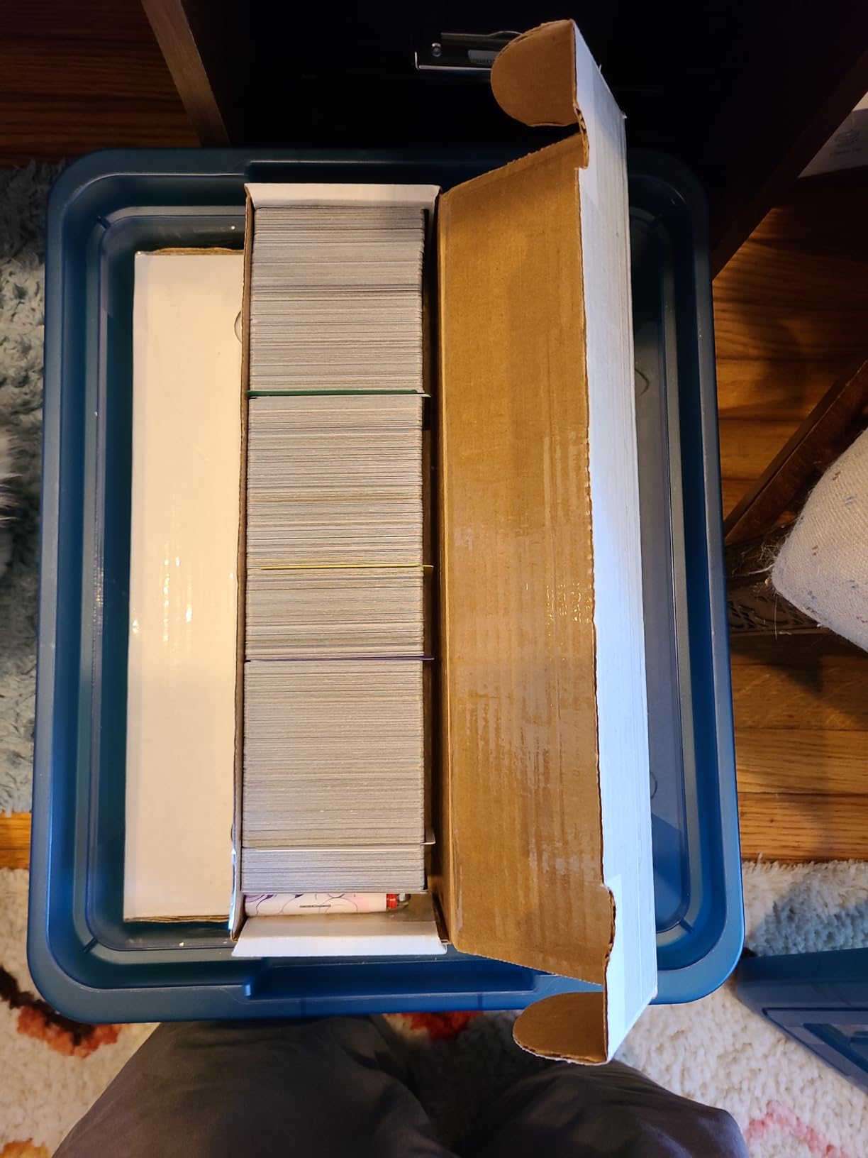 BCW 800ct Trading Card Storage Boxes - 3 Pack | Organizer for Sports Cards, MTG, Pokemon, and Card Games customer photo 1
