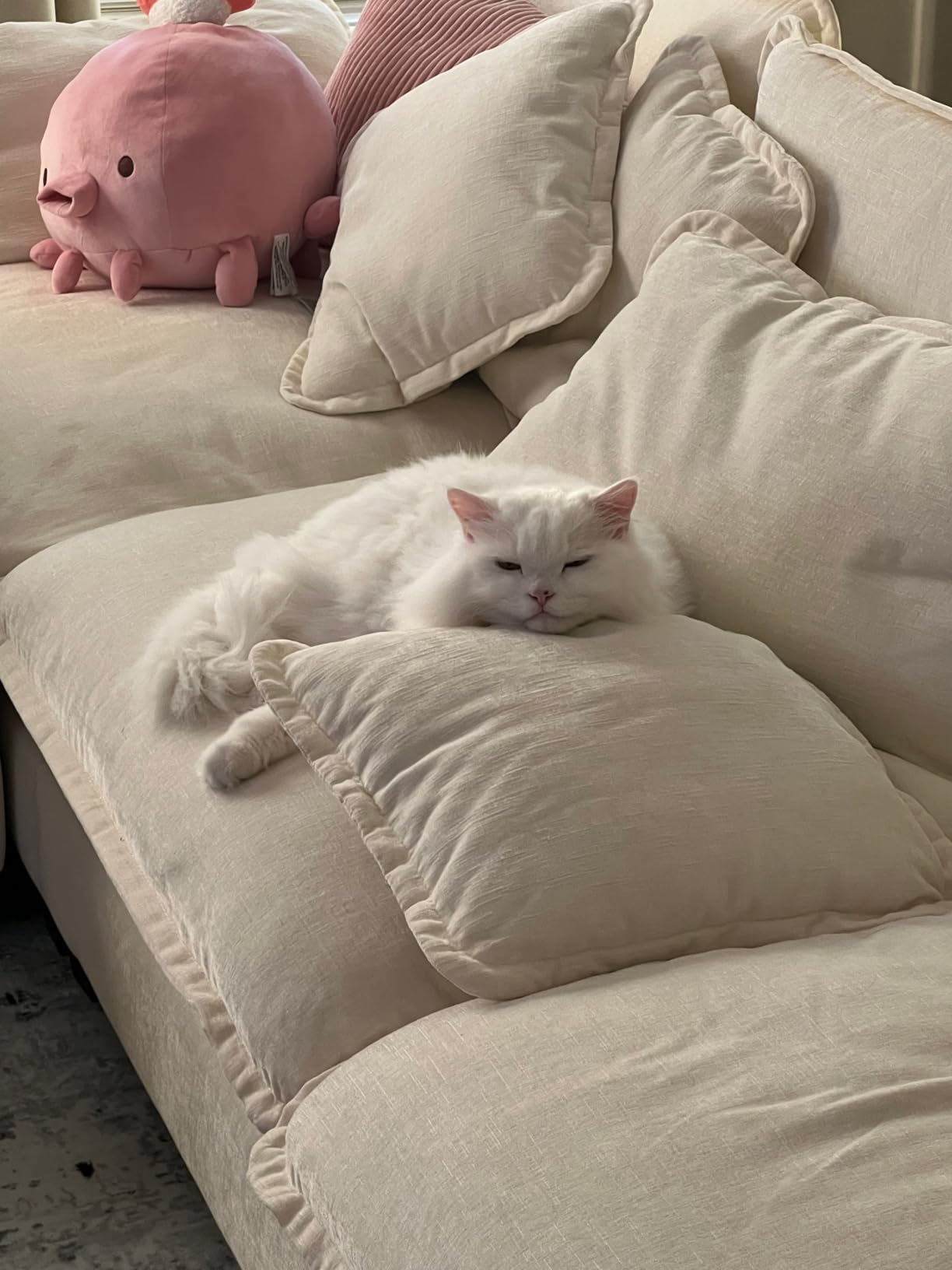 Blue Buffalo Wilderness Natural Adult Dry Cat Food Indoor Cats, High-Protein & Grain-Free, Chicken, 5-lb. Bag customer photo 1