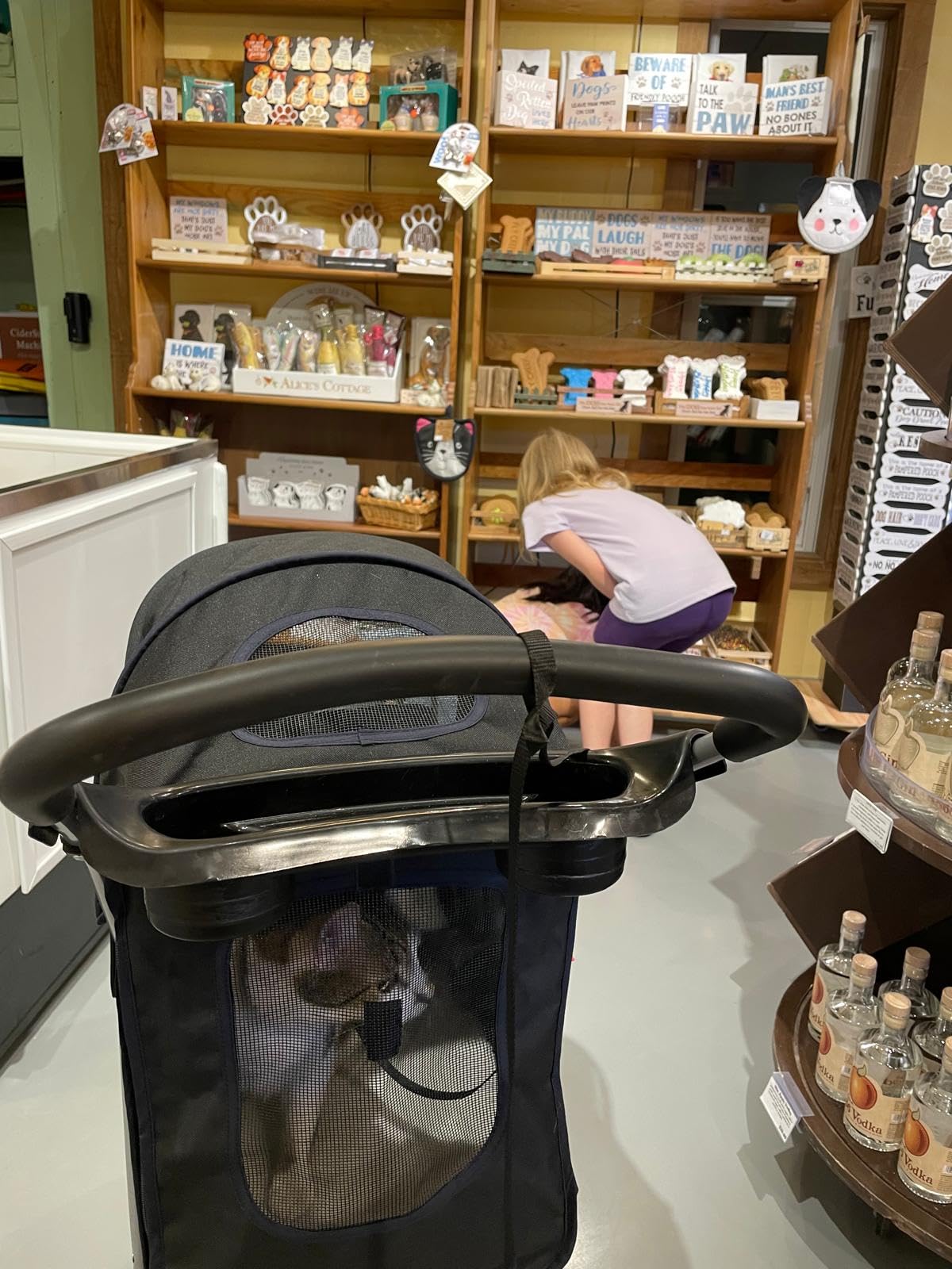 BestPet | 3-Wheel Pet Stroller | Dog and Cat Stroller | Breathable Mesh | Lightweight Travel Carrier | Waterproof & Foldable Design | Storage Basket | Black | for Daily Walks & Outdoor Use customer photo 1