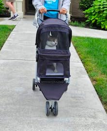 BestPet | 3-Wheel Pet Stroller | Dog and Cat Stroller | Breathable Mesh | Lightweight Travel Carrier | Waterproof & Foldable Design | Storage Basket | Black | for Daily Walks & Outdoor Use customer photo 2