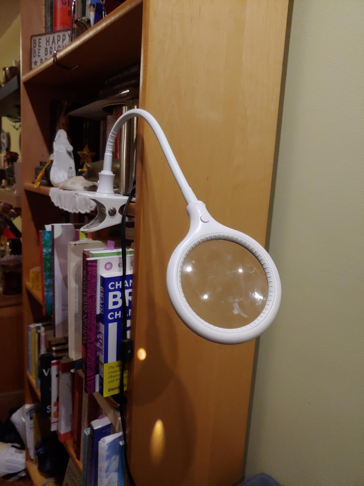 Brightech LightView Flex Magnifying Desk Lamp, 1.75X Light Magnifier, Adjustable Magnifying Glass with Light for Crafts, Reading, Close Work customer photo 1