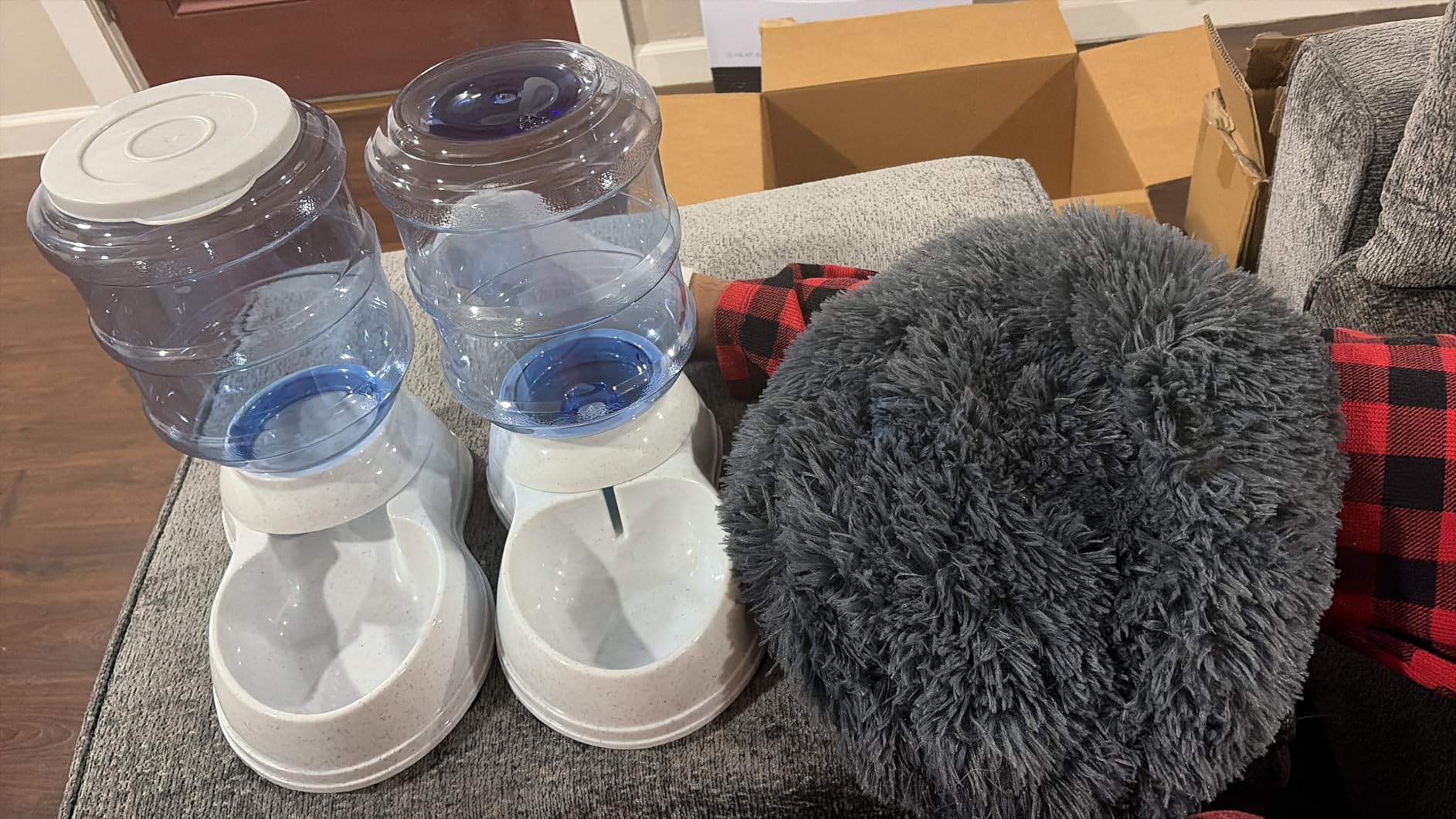 Amazon Basics Automatic Pet Water Dispenser and Gravity Food Feeder Set for Cat and Dog, Easy to Clean, 6-Pound Food Capacity, 1-Gallon, Small, Gray, Pack of 2 customer photo 1