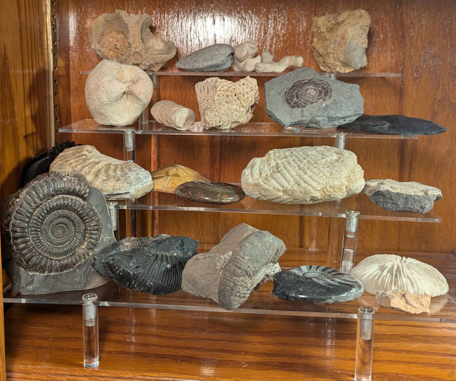 NIUBEE Acrylic Riser Display Shelf, 2 Pack Clear Display Stand for Amiibo Funko POP Figures,4 Tier Cupcakes Stand Perfume Organizer and Storage (12 Inch Large) customer photo 1