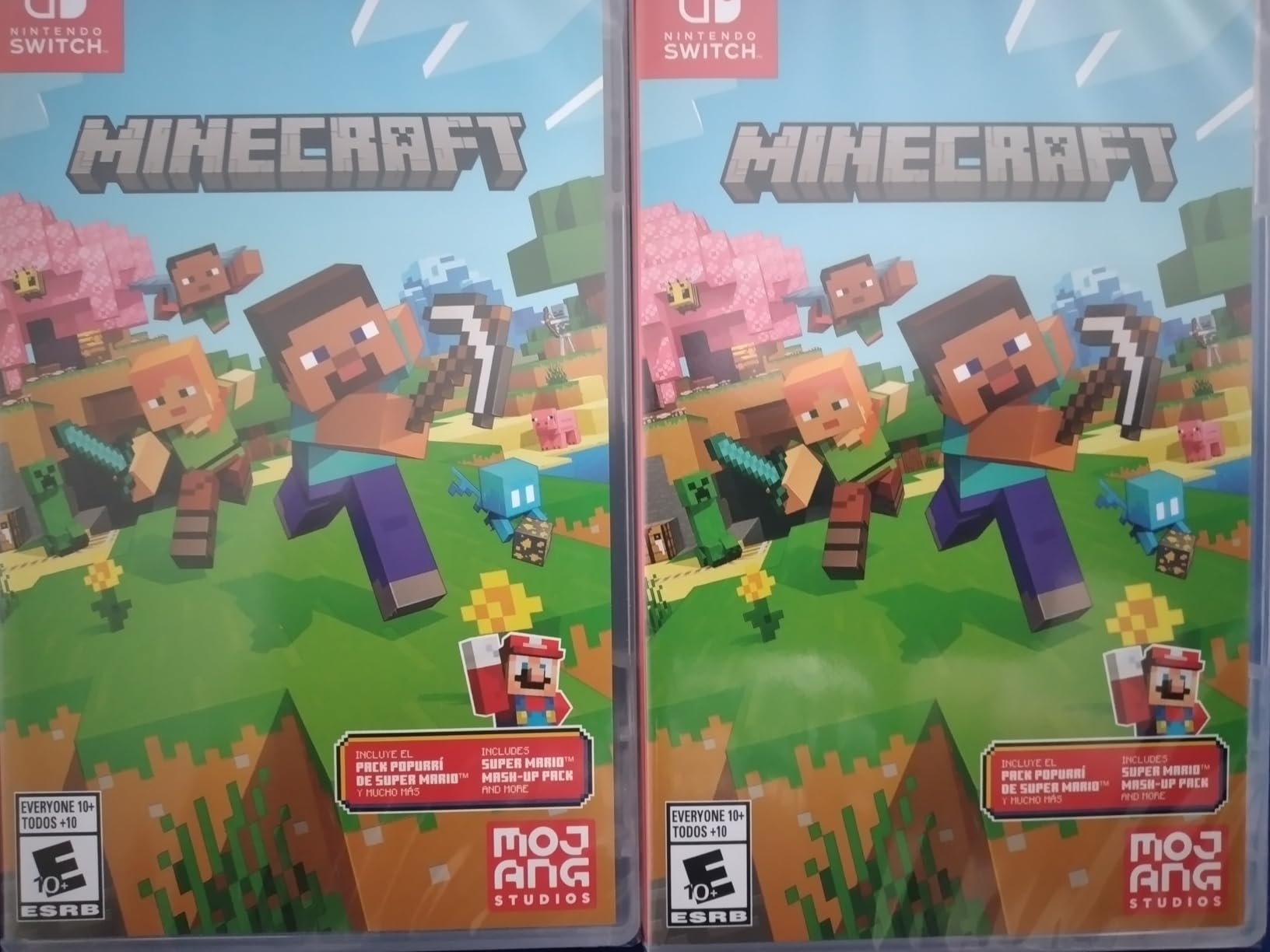 Minecraft - Nintendo Switch customer photo 2