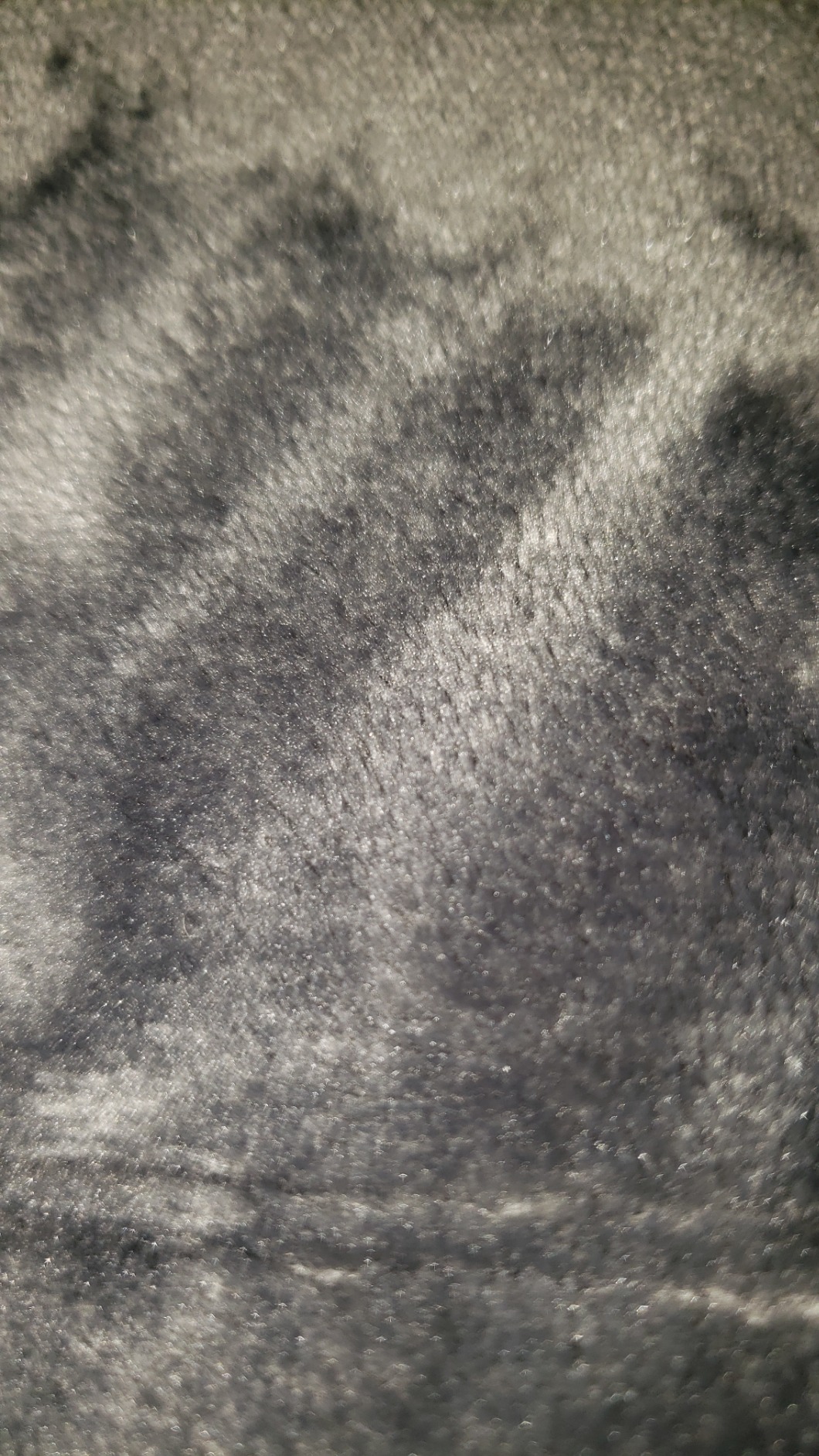 MAXTID Weighted Lap Blanket for Adults 8 Pounds Small Weighted Throw Blanket Travel Heavy Lap Pad Soft Velveteen Sofa Throw Blanket 39in x 23in 8 Lbs - Dark Grey, Machine Washable customer photo 1