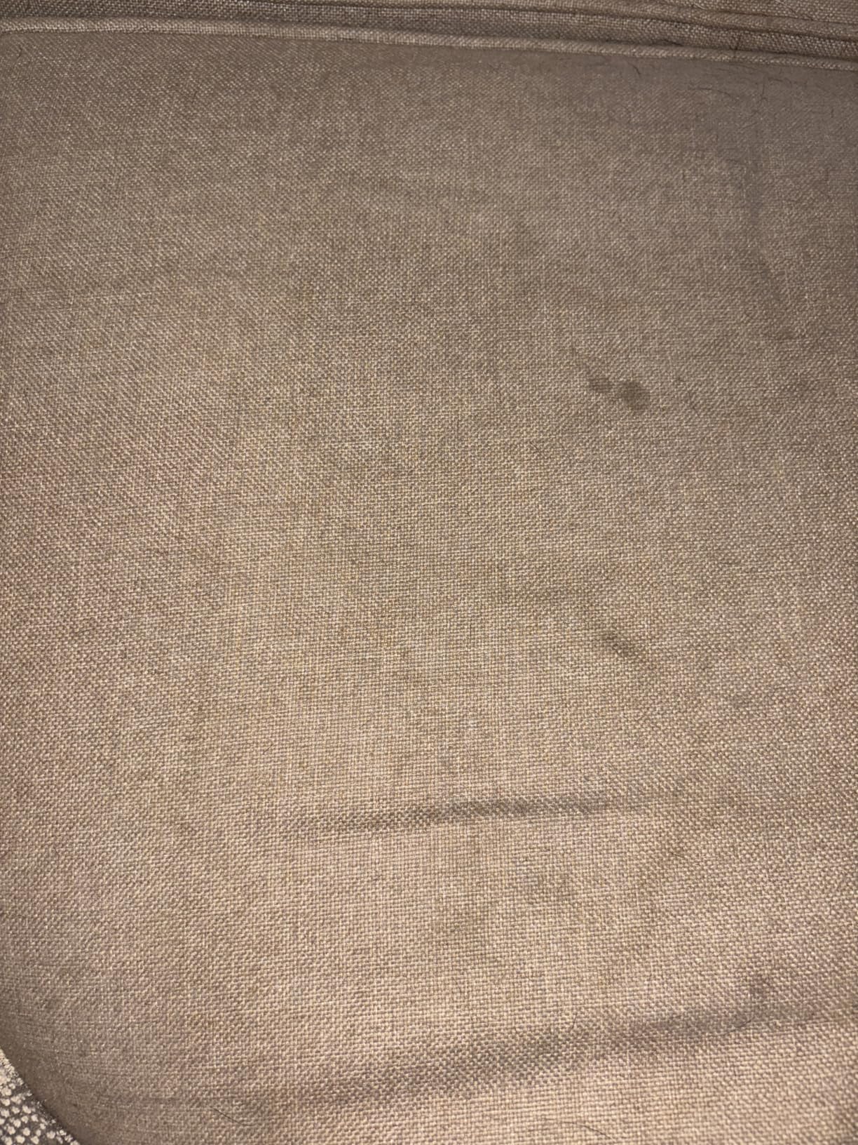 DELOMO Pet Hair Remover Roller: Reusable Lint Roller with Large Fur Bin - Portable Cat and Dog Hair Remover for Couch, Bedding, Car, Rugs & Furniture, Effective and Eco-Friendly, for Multi-Pet Homes customer photo 1