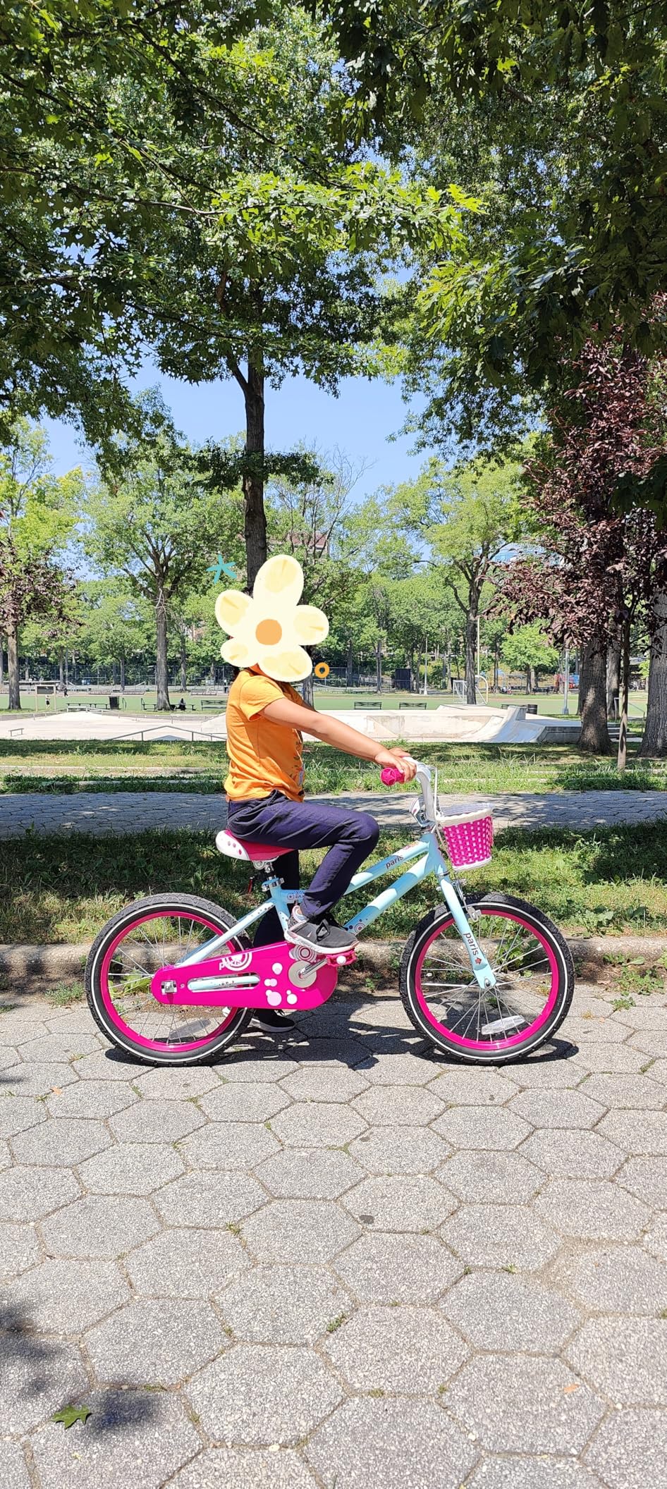 JOYSTAR Paris Girls Bike for Ages 3-8 Years Old, 14 16 18 Inch Kids Bike with Training Wheels, Basket and Handbrake, Multiple Colors customer photo 2