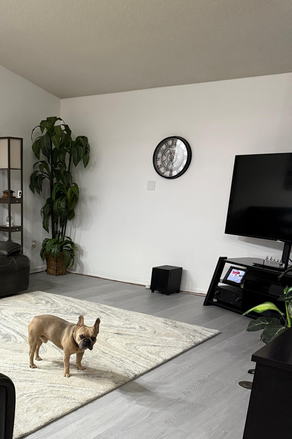 EVEO Cable Management 96'' J Channel- 6 Pack Cord Cover- Cable Raceway- Cable Management Under Desk with Adhesive Stripe Built-in 6 X 16in- Easy to Install Desk Cord Organizer- Cable Raceway, White customer photo 1