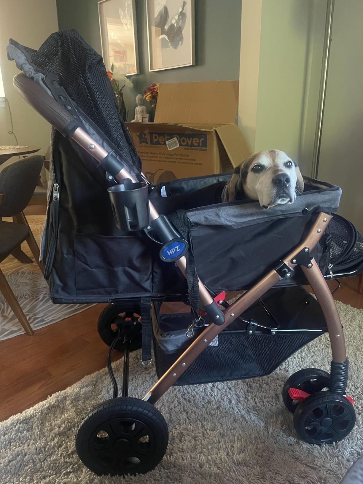 HPZ Pet Rover XL Extra-Long Premium Heavy Duty Dog/Cat/Pet Stroller Travel Carriage for Small, Medium, Large Pets (Taupe 2nd-Gen) customer photo 1