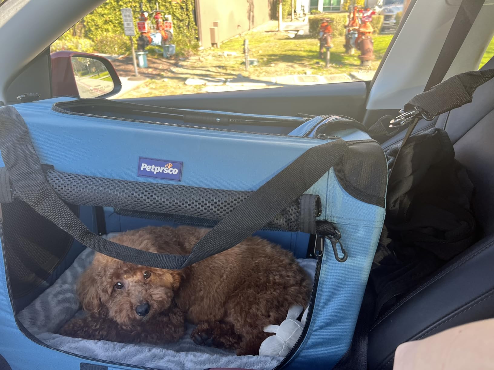 Petprsco Portable Collapsible Dog Crate, Travel Dog Crate 24x17x17 with Soft Warm Blanket and Foldable Bowl for Large Cats & Small Dogs customer photo 2