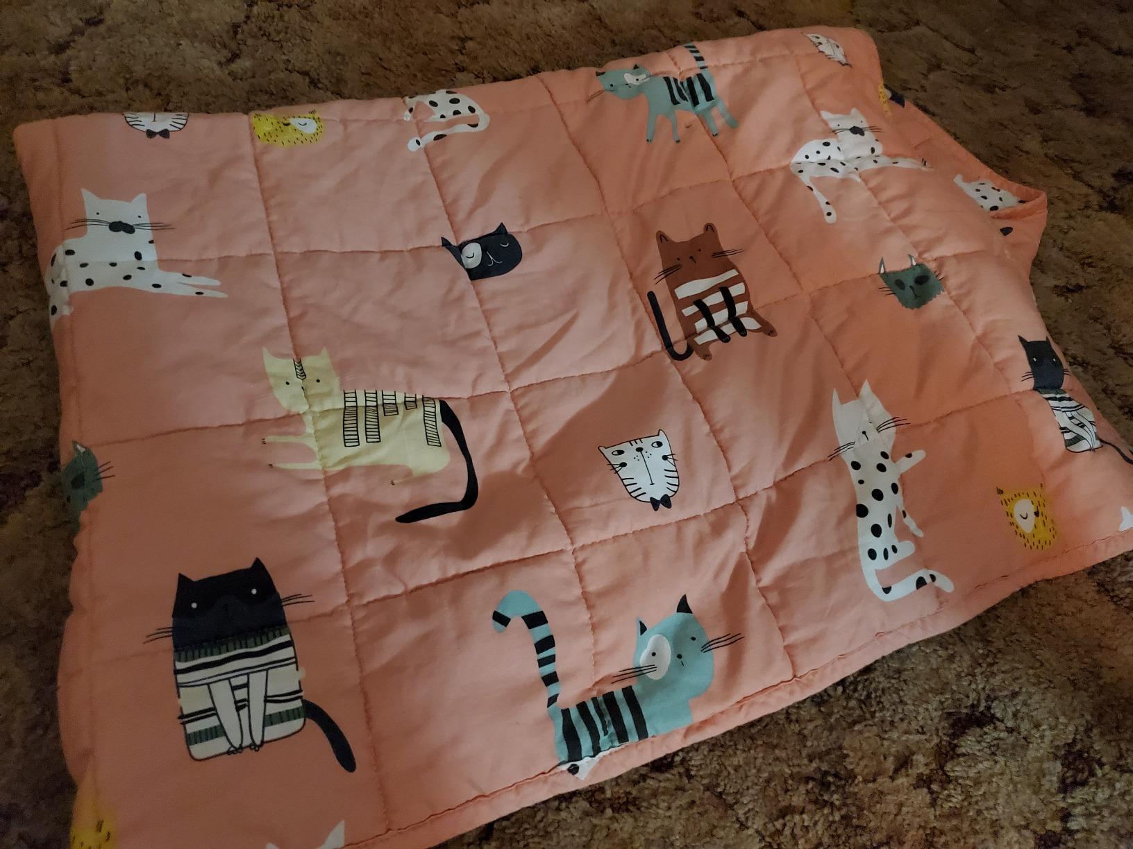 Sivio Weighted Lap Pad 2lbs, Cotton Weighted Blanket Sensory Weighted Lap Blanket Indoor Outdoor, 19 x 21 Inch, Blue Dinosaur customer photo 1