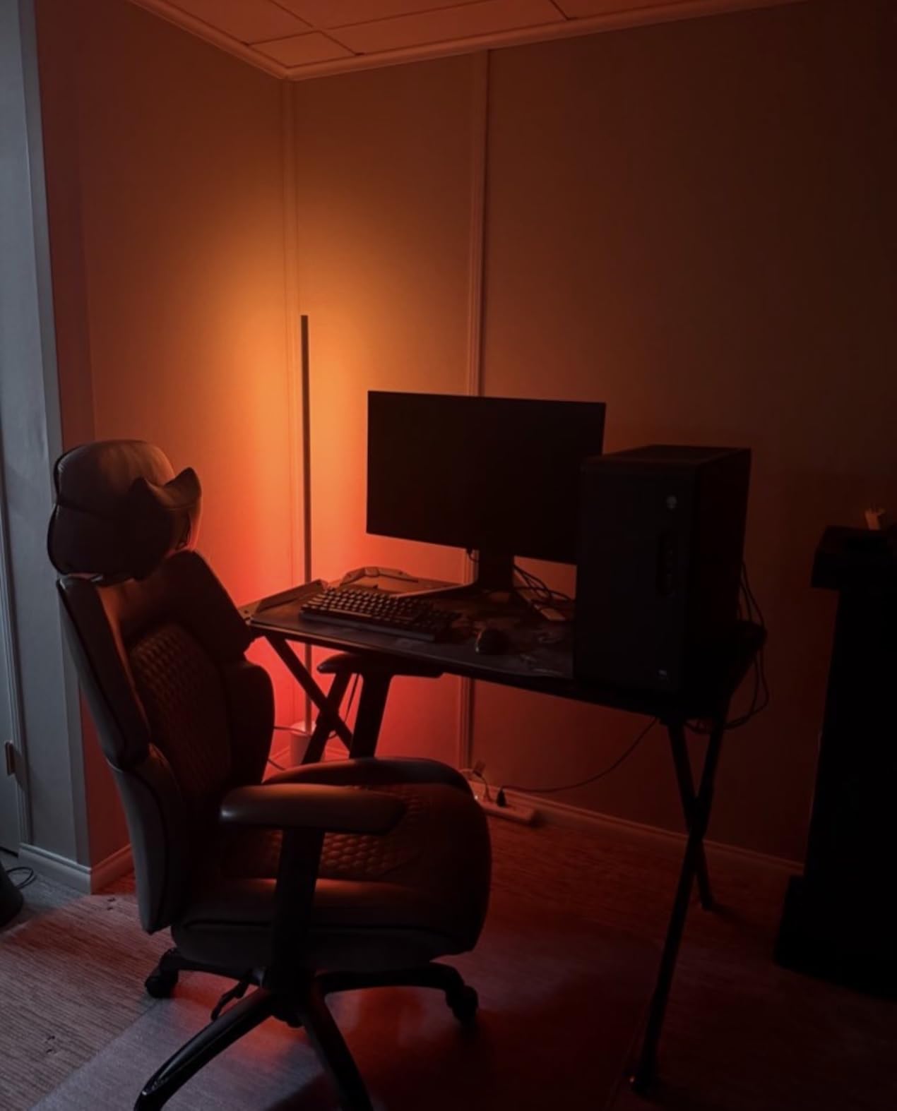 Philips Hue Signe Smart Color Changing Floor Lamp, Black, White and Color Ambiance, Pack of 1, Control with Hue App, LED Floor Lamp Compatible with Alexa, Google Assistant, and Apple Homekit customer photo 2