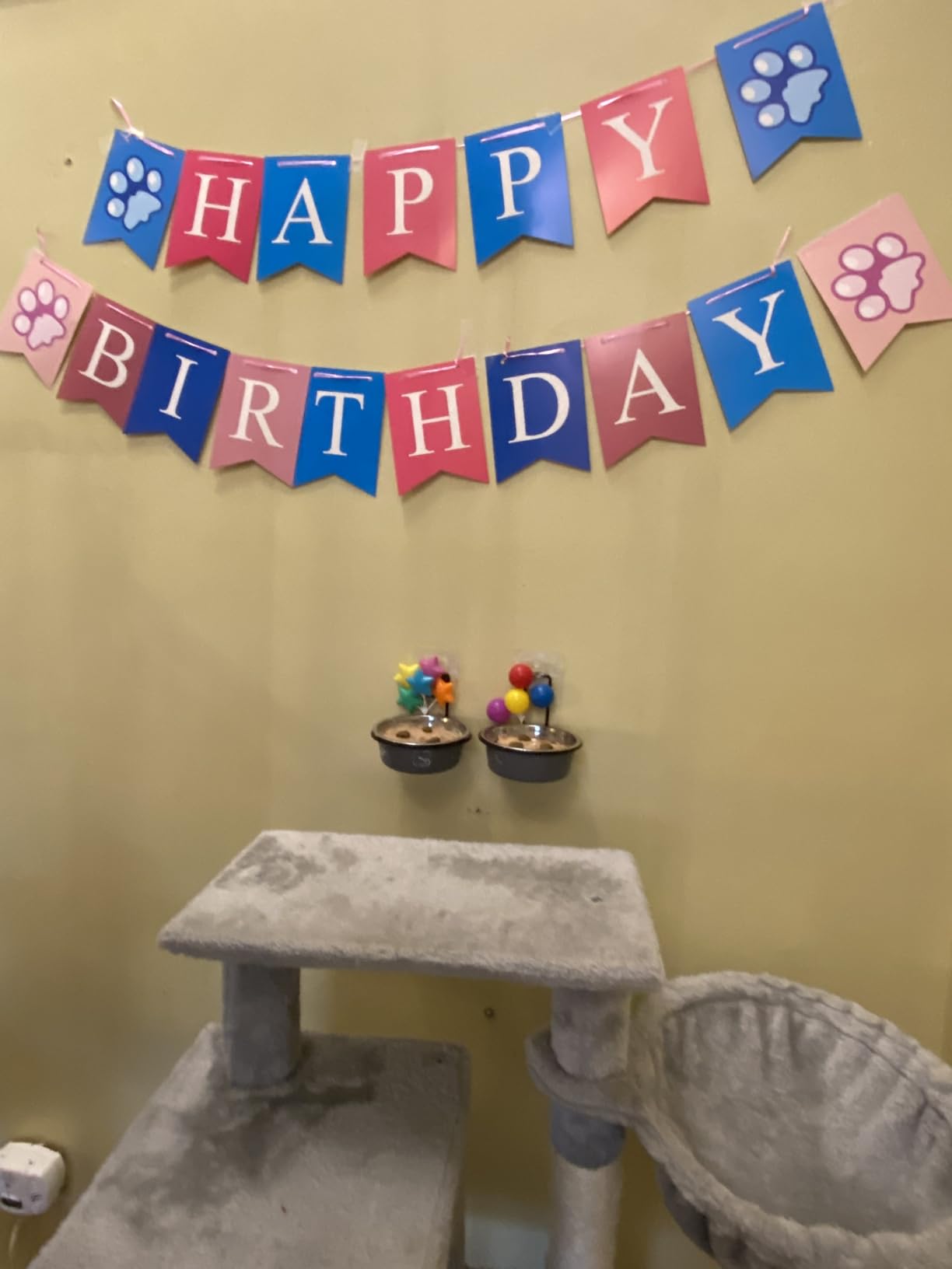 Tiki Cat Born Carnivore Indoor Health Dry Cat Food, Chicken & Turkey Meal, 6 lbs. Bag customer photo 2