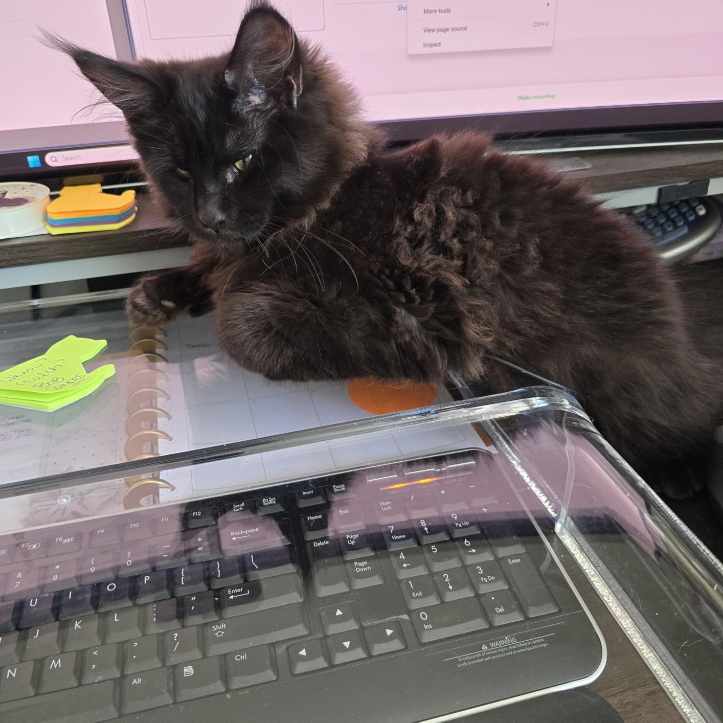 Clear Acrylic Monitor Stand,Keyboard Cover Protector Anti-Cat Prevent Cats from Touching Keyboard,Stand for Laptop, 1525-001 customer photo 1