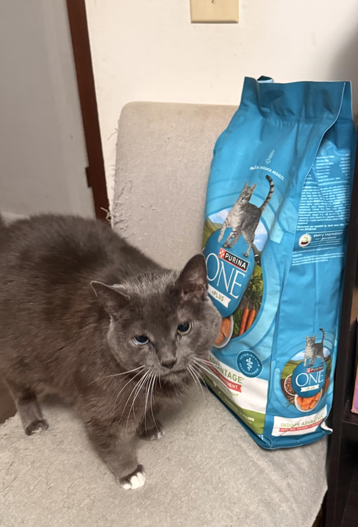 Purina ONE Natural Low Fat, Indoor Dry Weight Control High Protein Cat Food Plus Indoor Advantage With Real Salmon - 7 lb. Bag customer photo 1