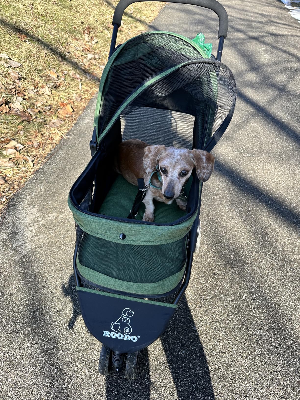 ROODO 3 Wheel Pet Stroller Best Lightweight Foldable Compact Portable Jogger All Terrain Travel Pet Gear Puppy Kitty Stroller for up to 30lbs Medium Small Dogs and Cats(Green) customer photo 1