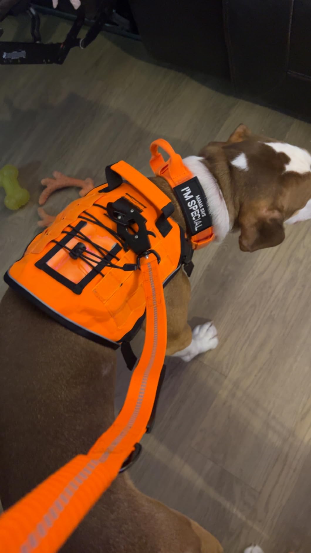 WINGOIN Tactical Dog Harness for Large Dogs, Heavy Duty No Pull Dog Harness with Handle, Adjustable Reflective Military K9 German Shepherd Big Size Dog Vest for Walking, Training, Hunting, Green (L) customer photo 2