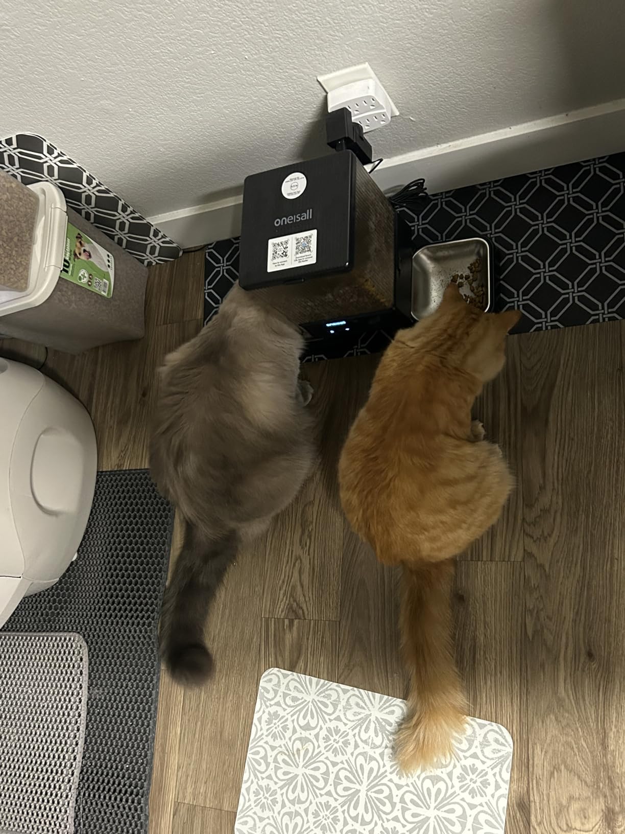 oneisall Automatic Cat Feeder with 5G WiFi, Automatic Cat Food Dispenser for 2 Cats Small Pets, 20 Cups/5L Timed Dry Food Dispenser with APP Control customer photo 2