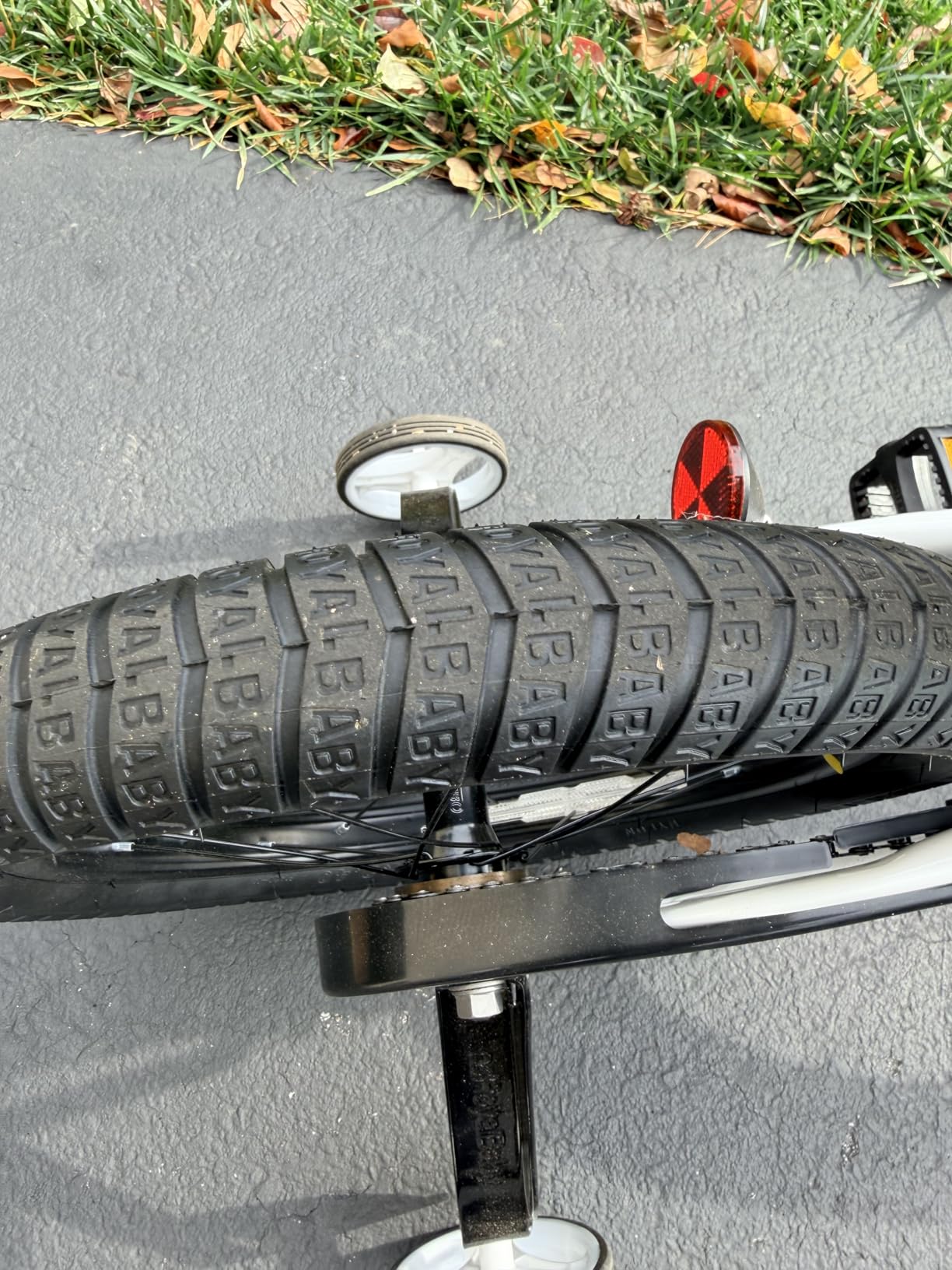 RoyalBaby Kids Bike with Dual Handbrake for Beginners,12 14 16 18 20 Inch Bicycle for Boys & Girls Ages 3-10 Years customer photo 2