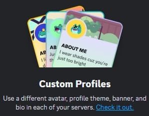 Discord Nitro 1-Month Subscription Gift Card [Digital Code] customer photo 1