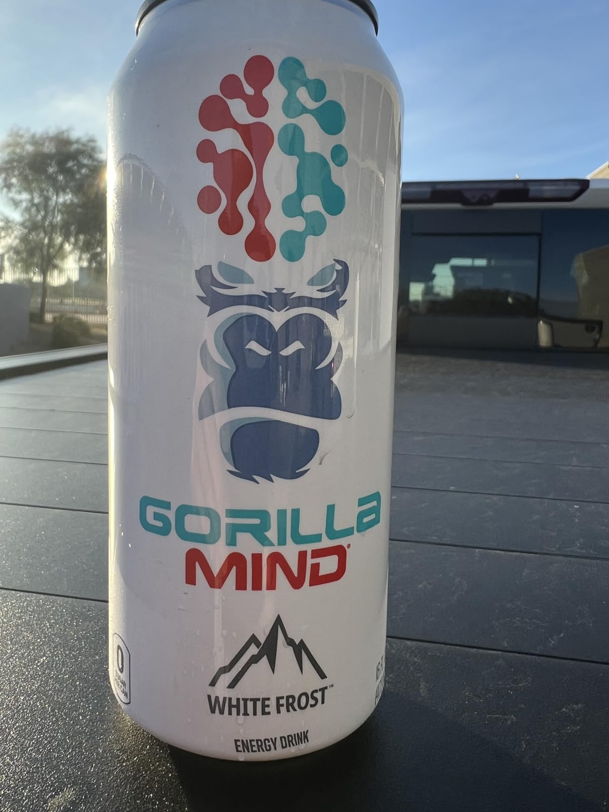 Gorilla Mind Energy Drink | Unmatched Energy & Amplified Focus | N-Acetyl-L-Tyrosine, Alpha-GPC, 200mg Caffeine, Uridine, Saffron | 0 Sugar Or Artificial Colors | 16oz, 12-Pack (White Frost) customer photo 1