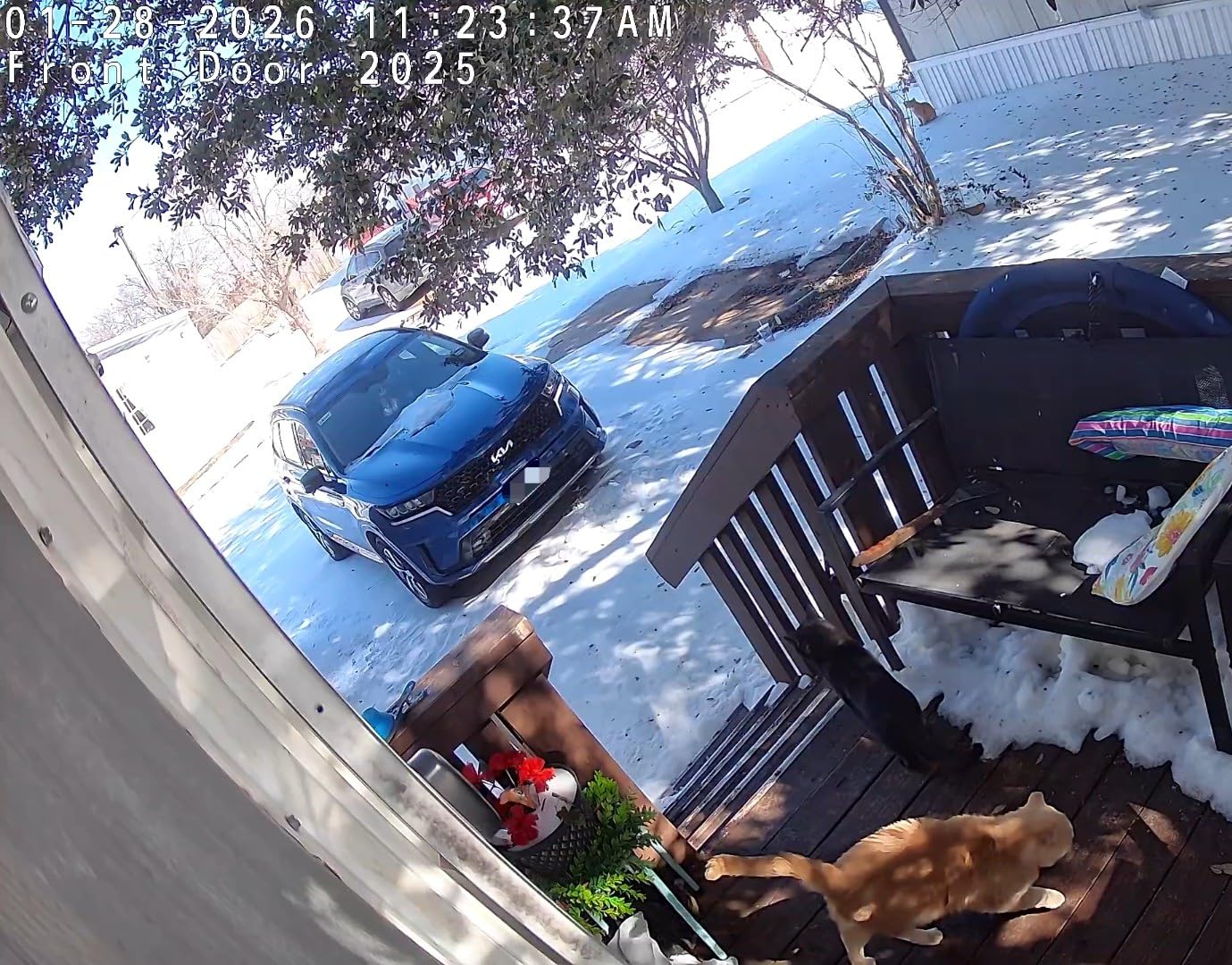 TP-Link Tapo C120 2K+ Indoor/Outdoor Wired Security Camera - 2024 PCMag Editors' Choice, Person/Pet/Vehicle Detection, Baby Monitoring, Color Night Vision, Subscription-Free Local Storage or Optional Cloud customer photo 2