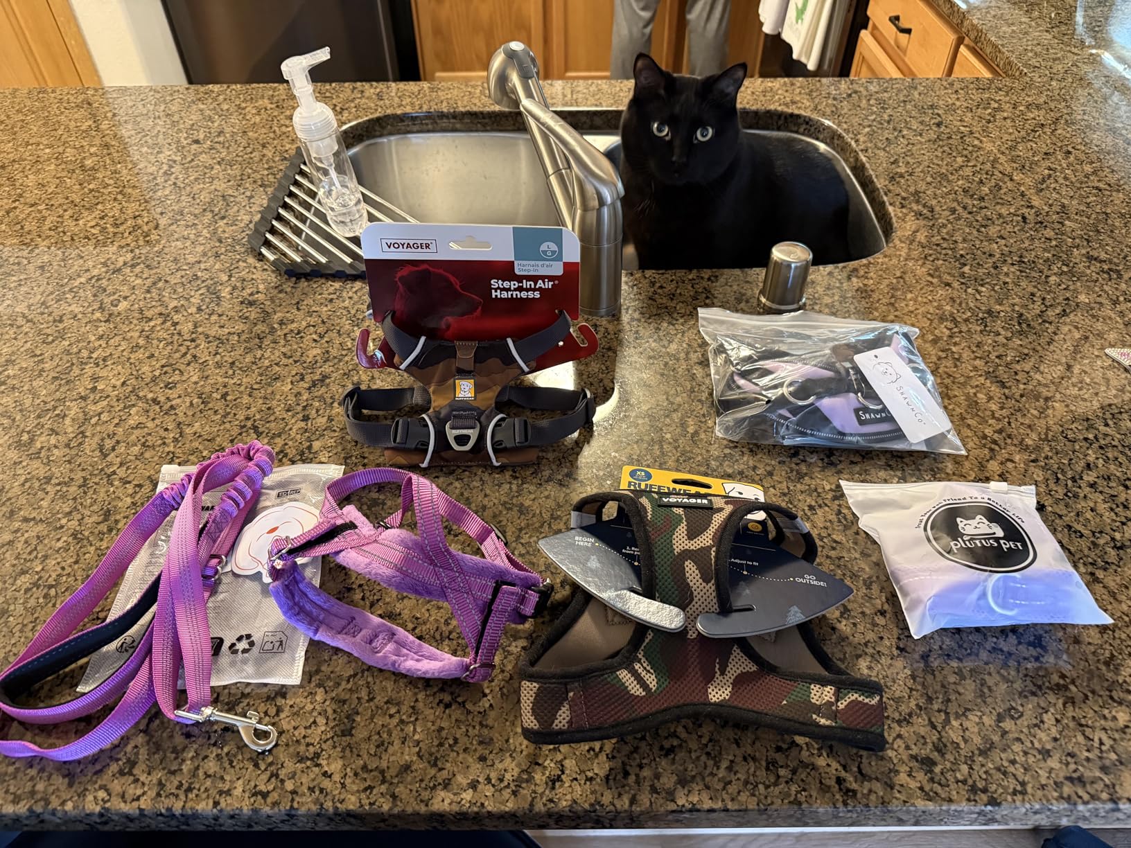 Ruffwear, Front Range Dog Harness, Reflective Soft Padded Everyday Harness with Dual Leash Clips, Adjustable and Lightweight Fit for Training or Walking for All Dogs, Spring Mountains, Large/X-Large customer photo 2