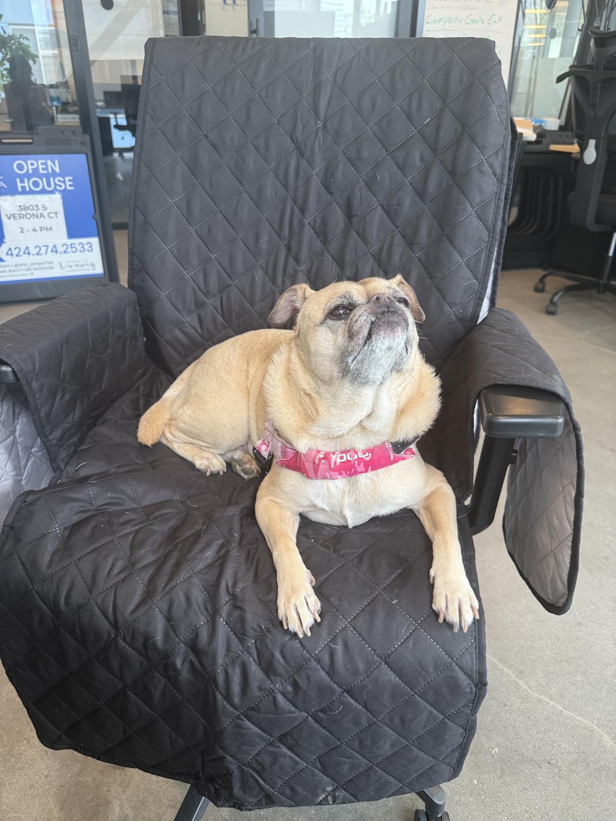 H.VERSAILTEX Water-Resistant Office Chair Protector - Universal High-Back Cover with Non-Slip Buckles, Fits Executive,Gaming Chair and Desk Chairs customer photo 2